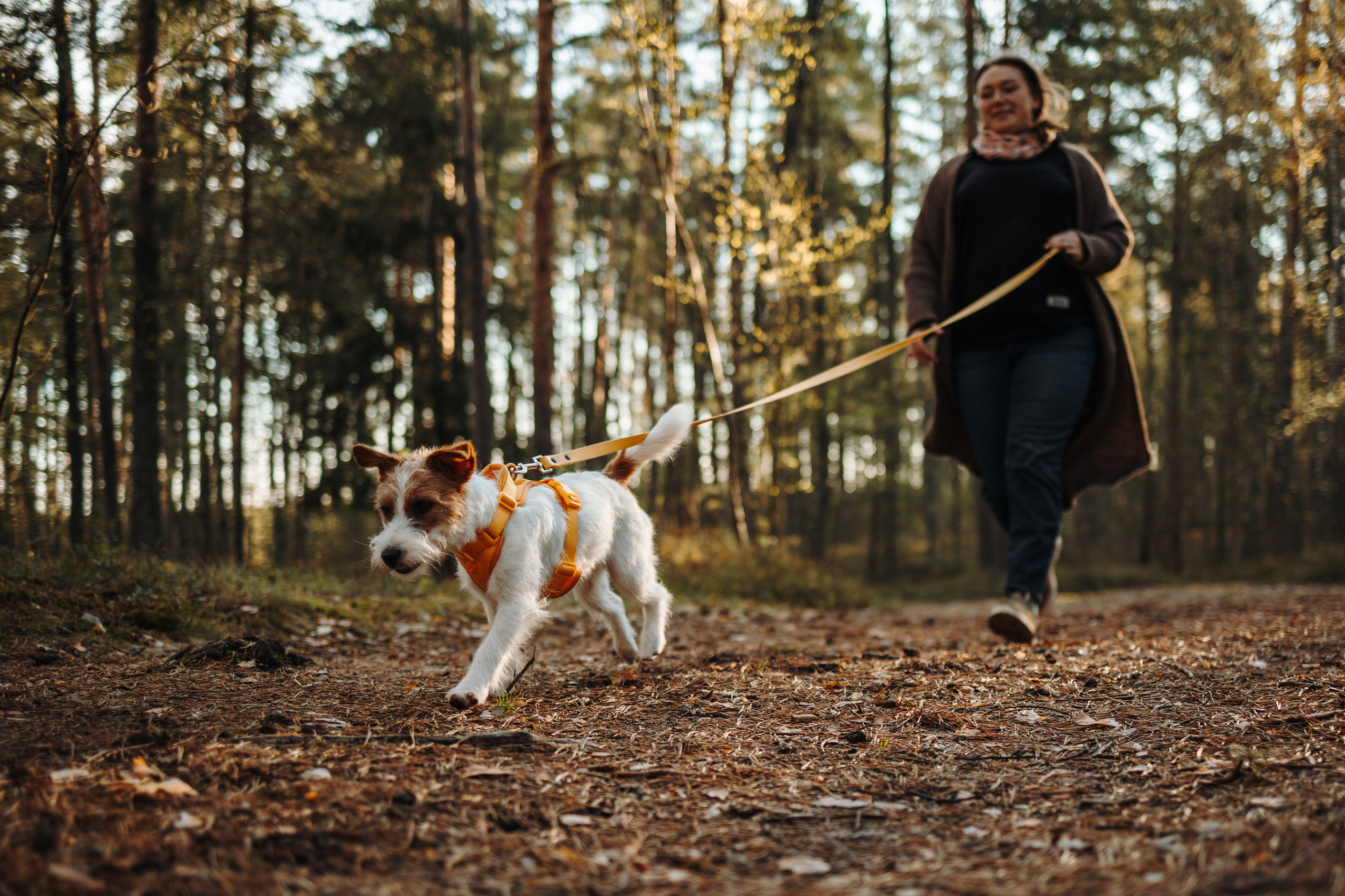 Катя и ее девочки. Фотограф — Анималист | Санкт-Петербург