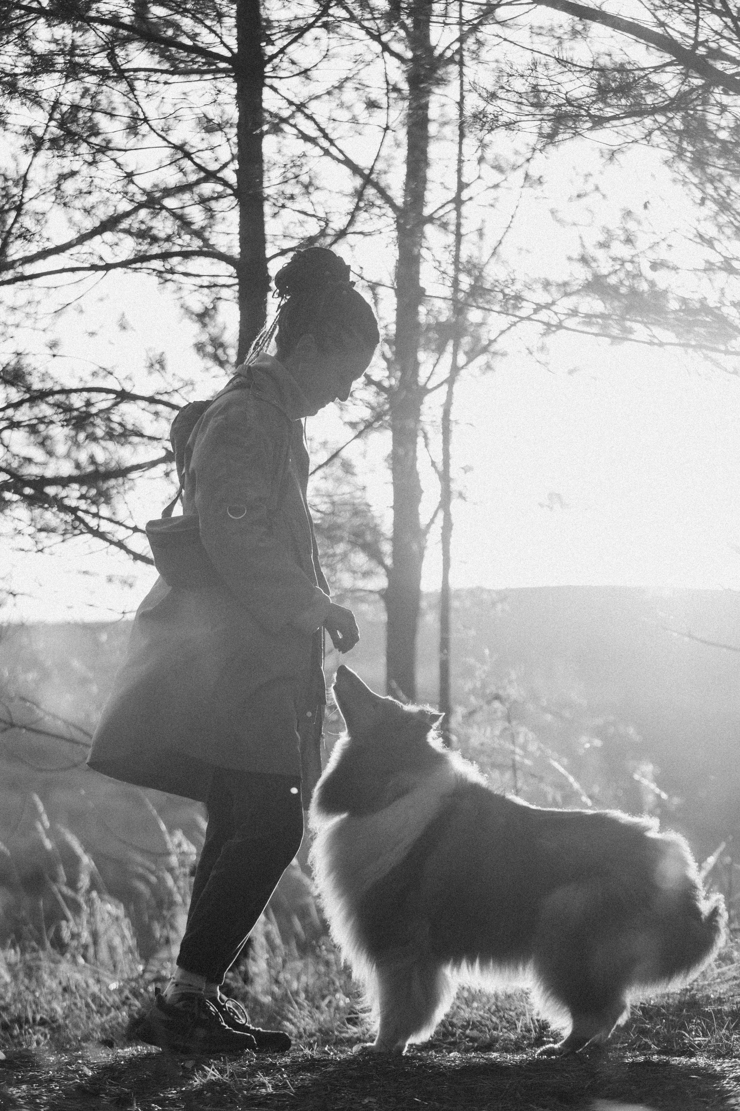 Трисс, Эста, Яся и их семья. Фотограф — Анималист | Санкт-Петербург