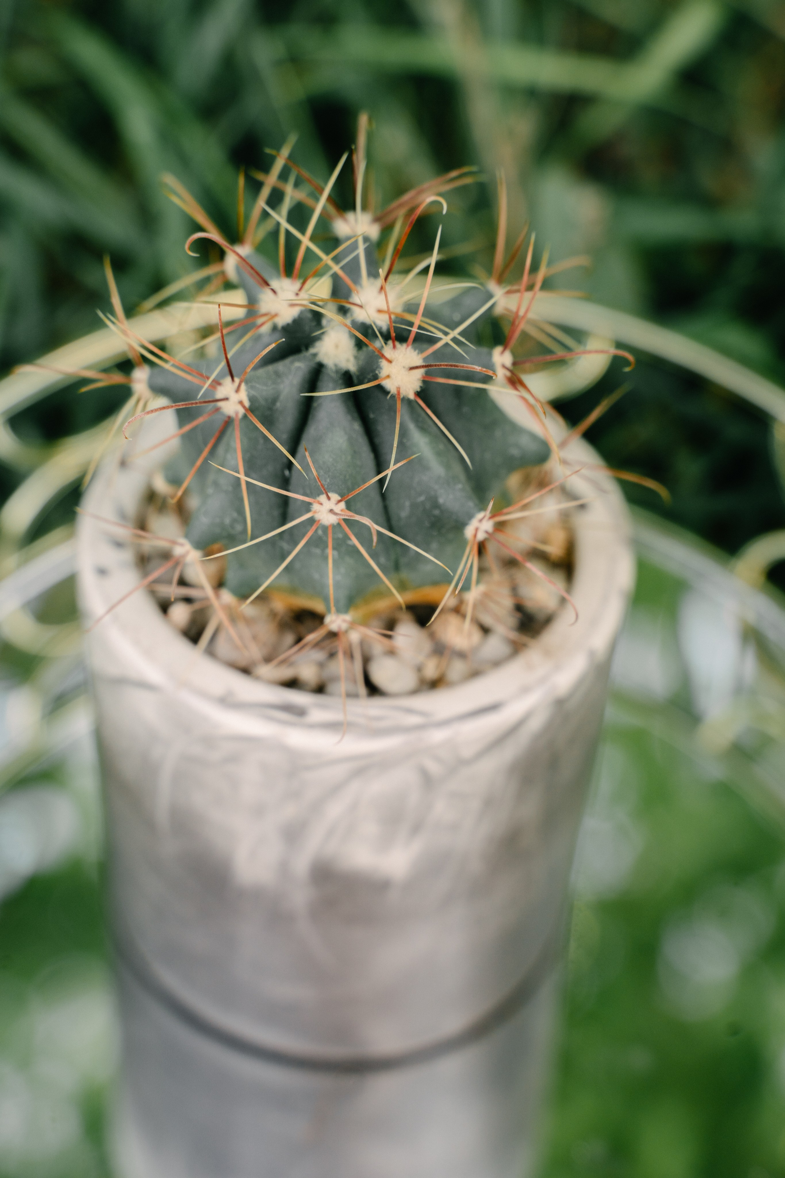 Свечибар «Лунный свет». Свадебный фотограф Юлия Копылова