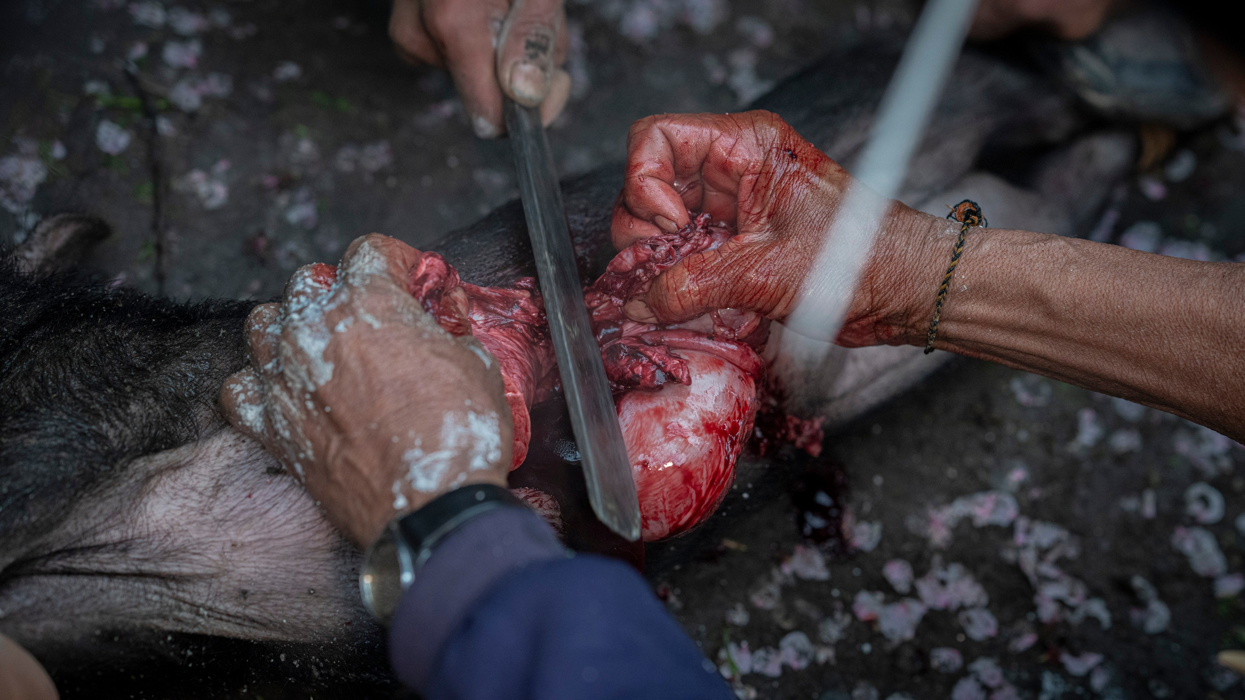 India travel. Фотограф Сергей Танков