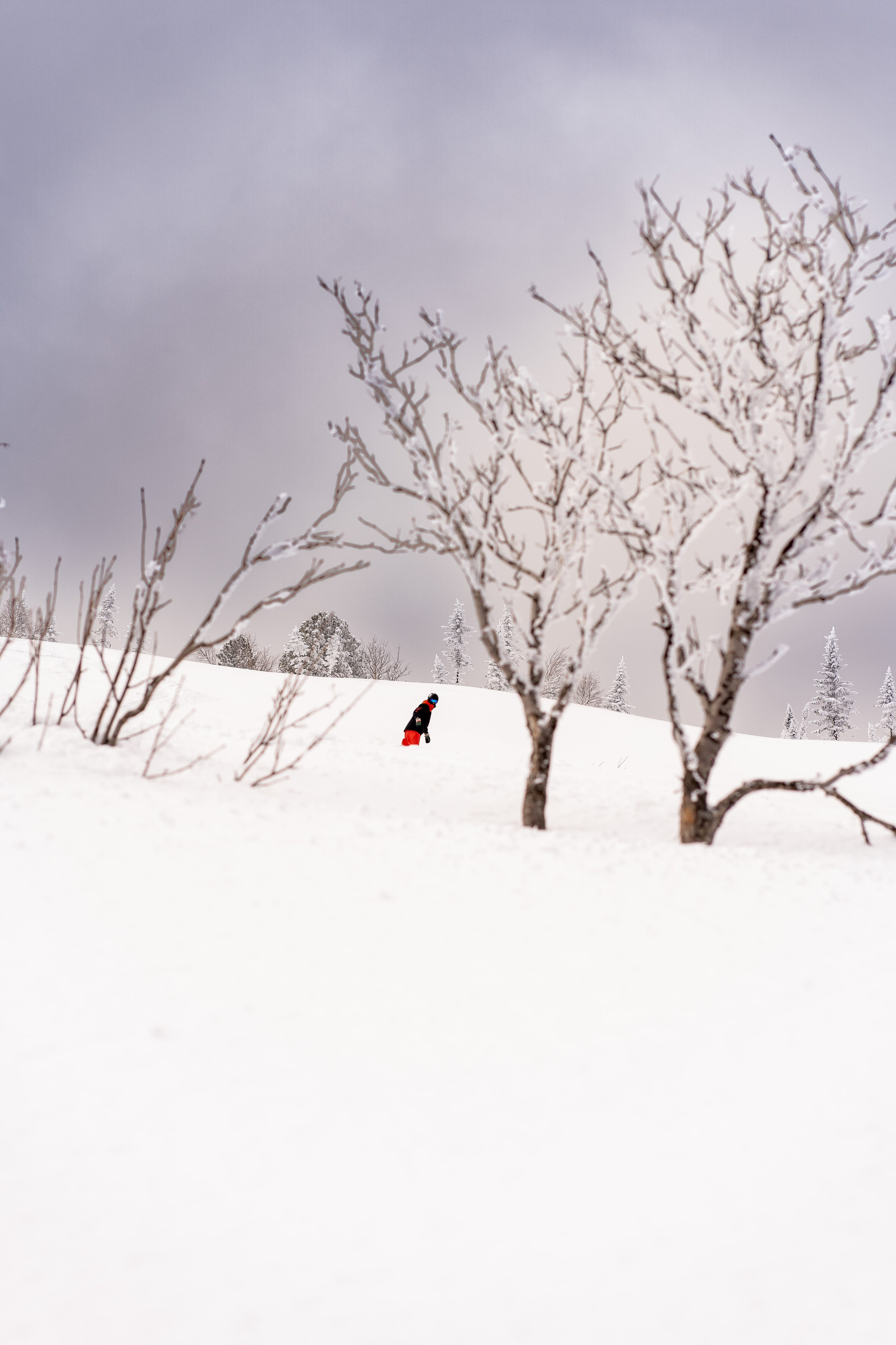 Фрирайд. Анастасия Паршукова — фотограф Шерегеш Новосибирск