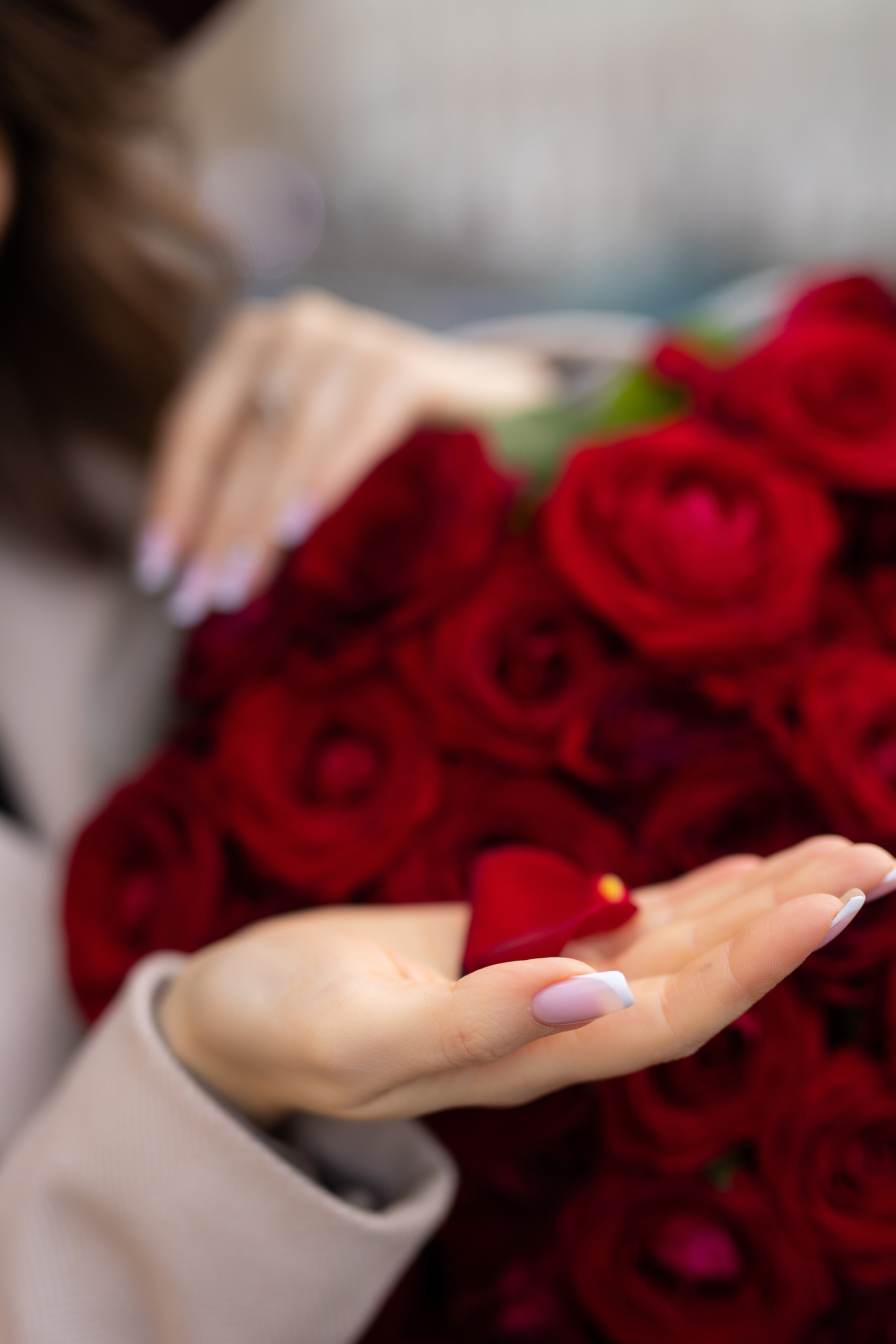 лепестки роз