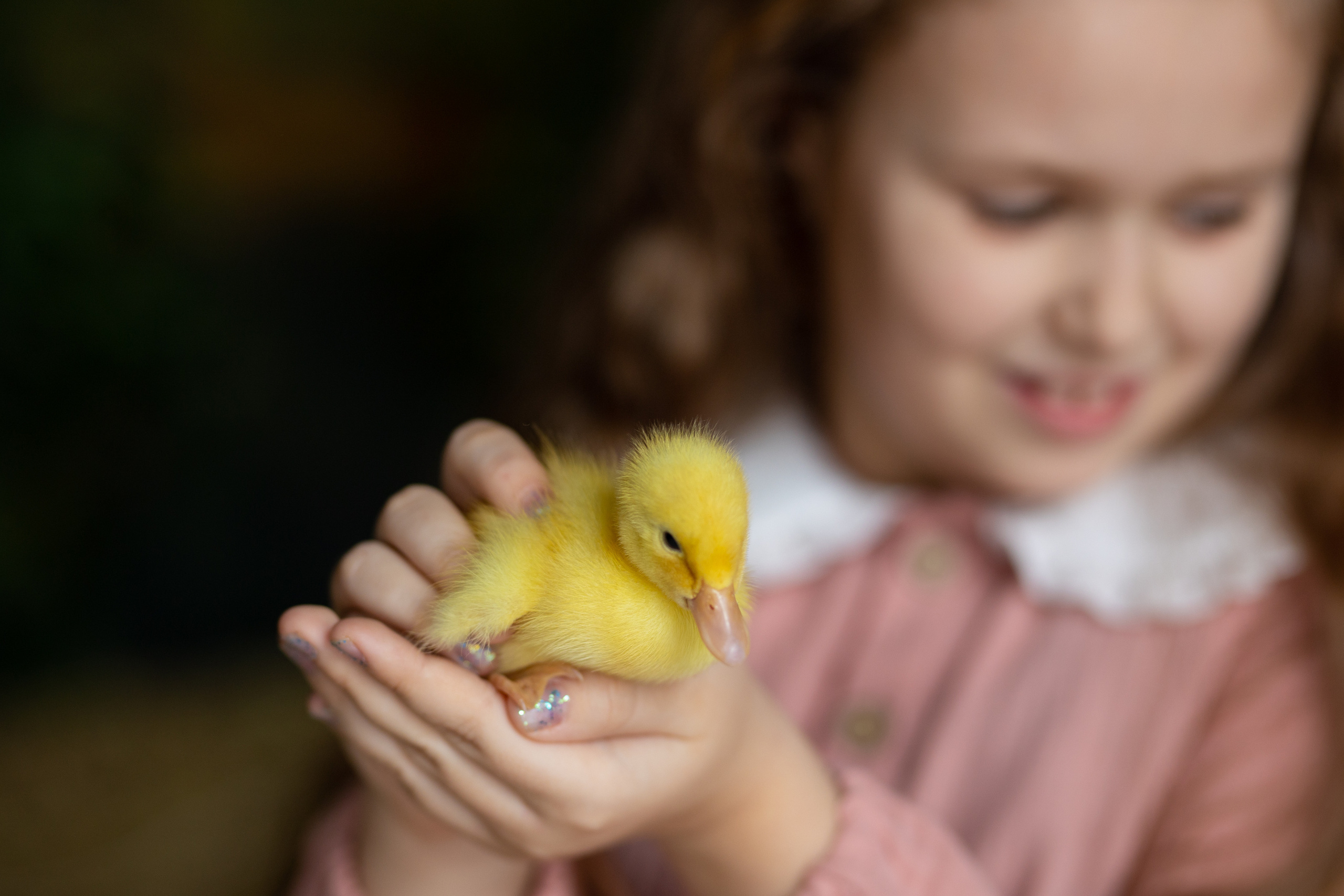 Пасхальная фотосессия. Семейный и свадебный фотограф в Санкт-Петербурге Татьяна Швыкова