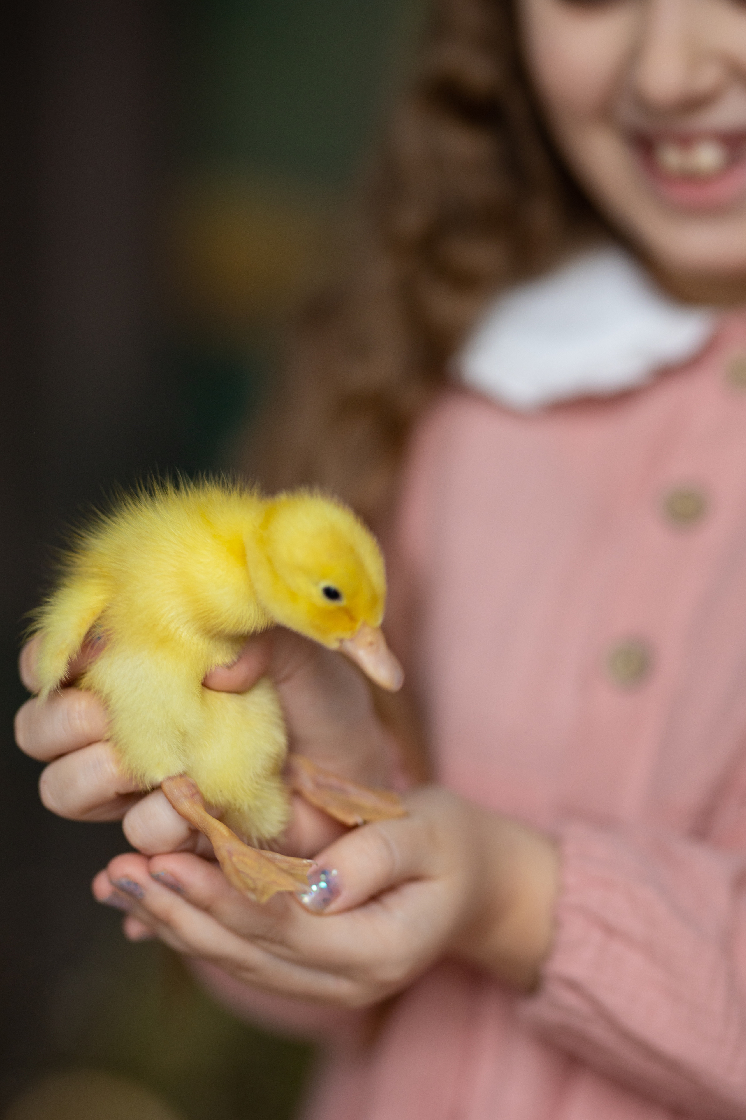 Пасхальная фотосессия. Семейный и свадебный фотограф в Санкт-Петербурге Татьяна Швыкова