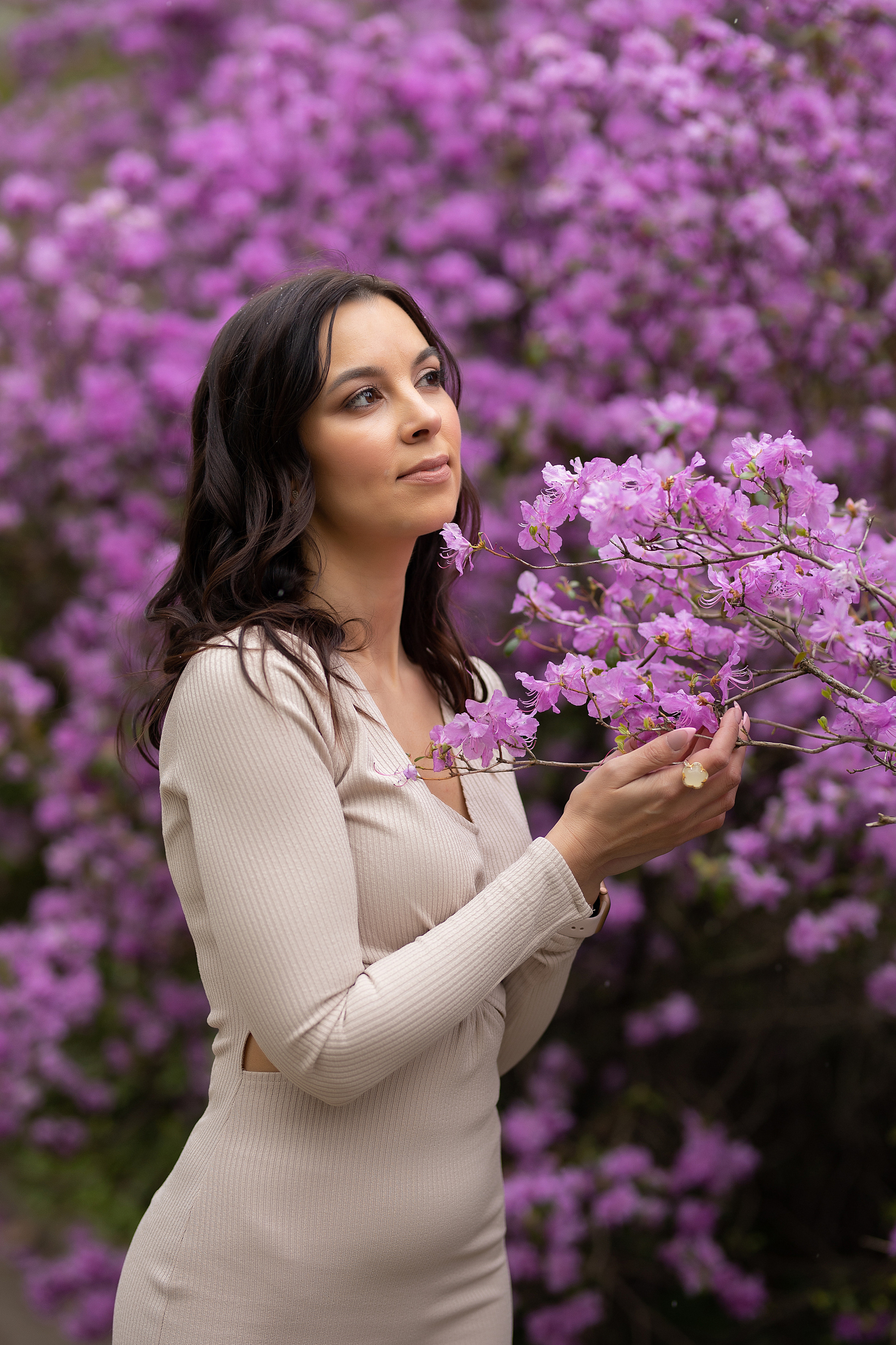 Красивые фотографии в цветении