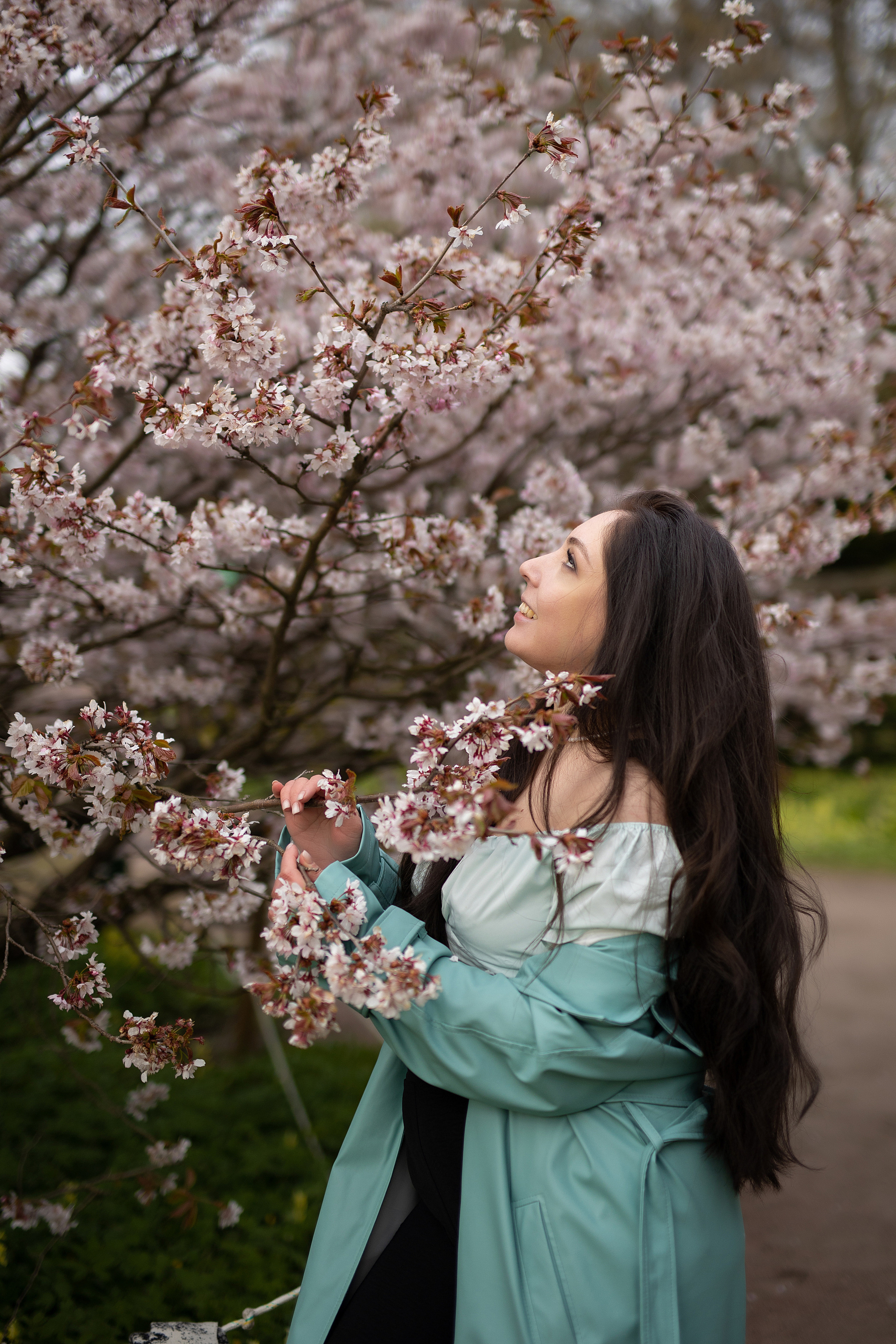 Идеи для съёмки в сакуре