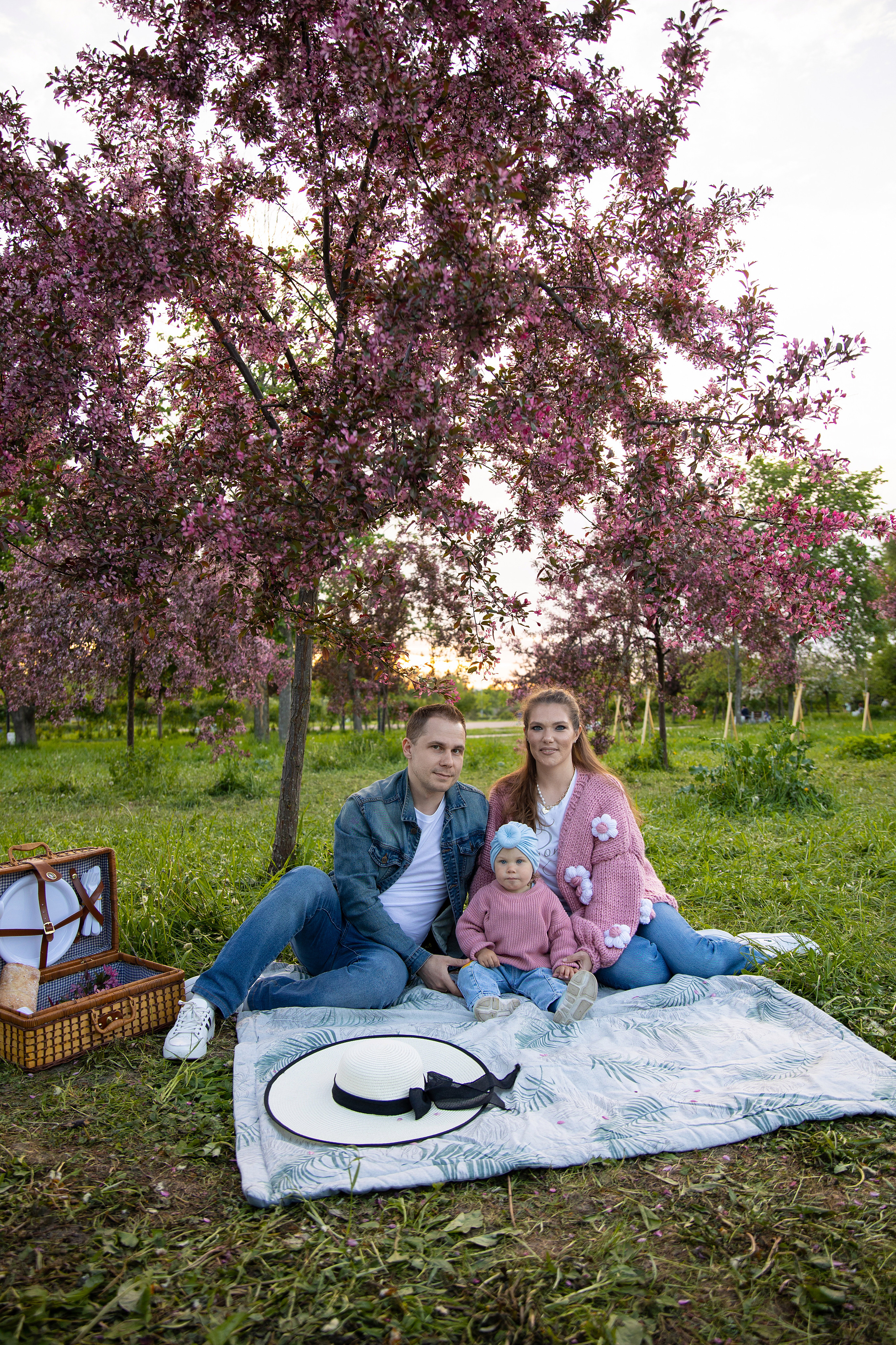 семья на пикнике