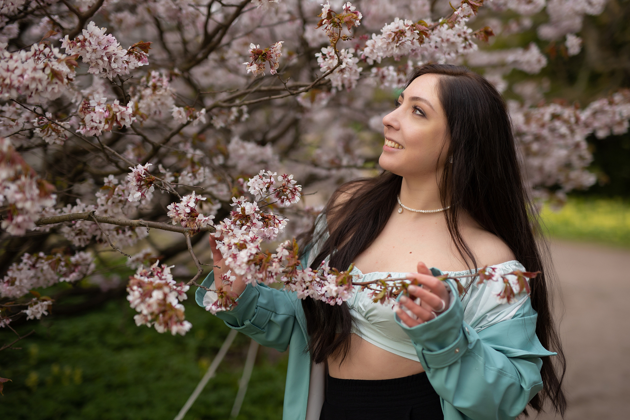 Места для съёмки в сакуре