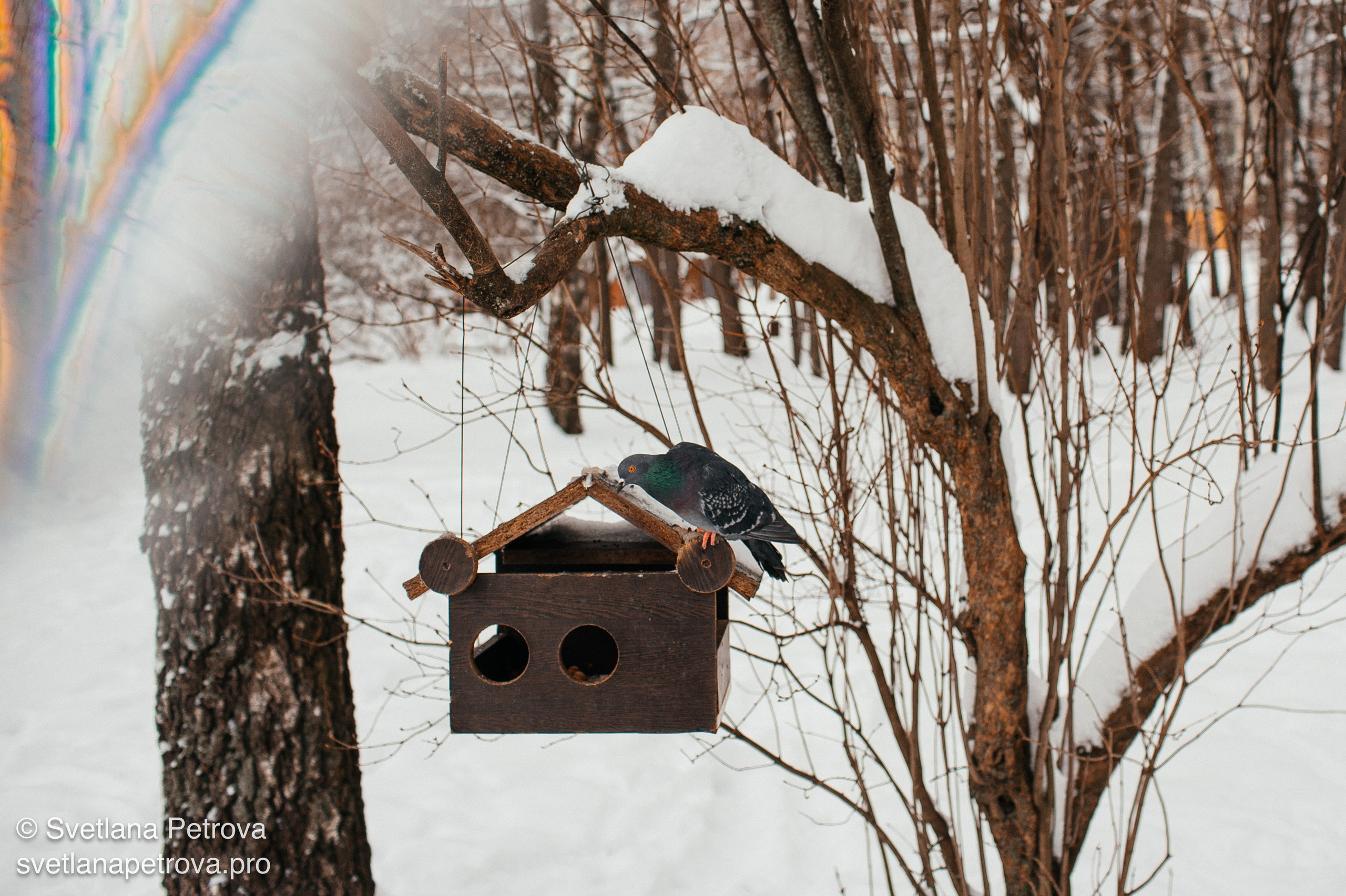Новогодние Локации 1 января 2026. Фотограф Светлана Петрова