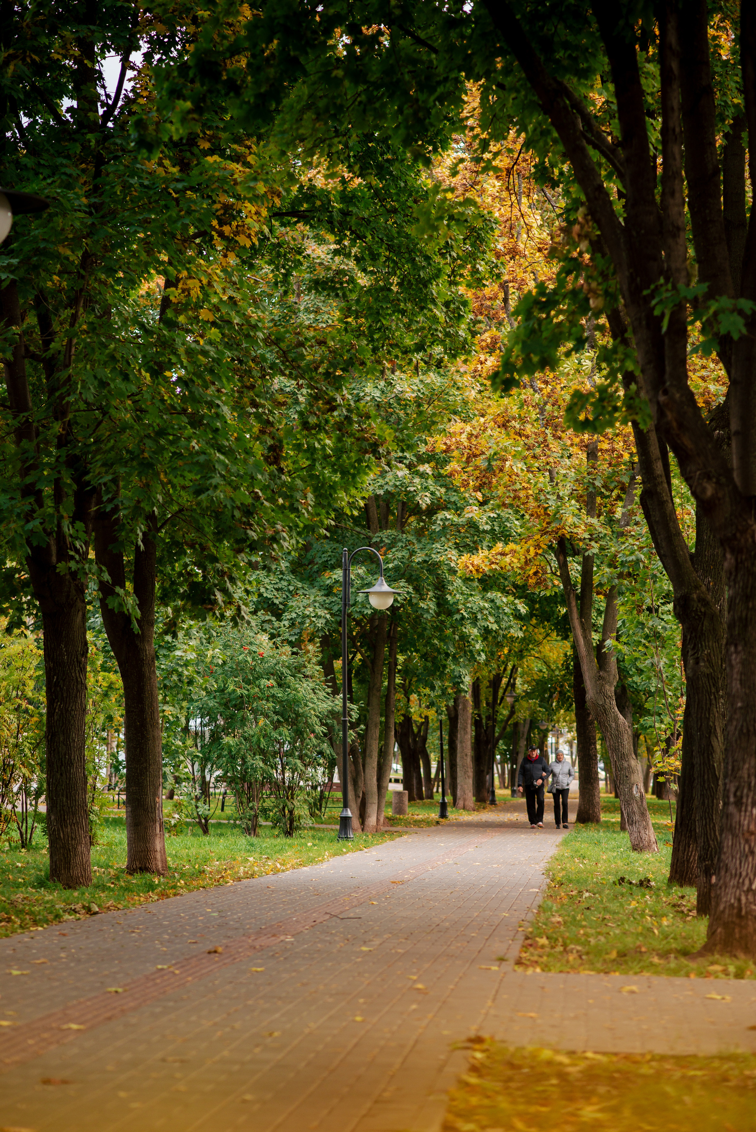 Анонс осенней фотолокации 2021. Фотограф Екатерина Шереметова Ижевск Сарапул Воткинск