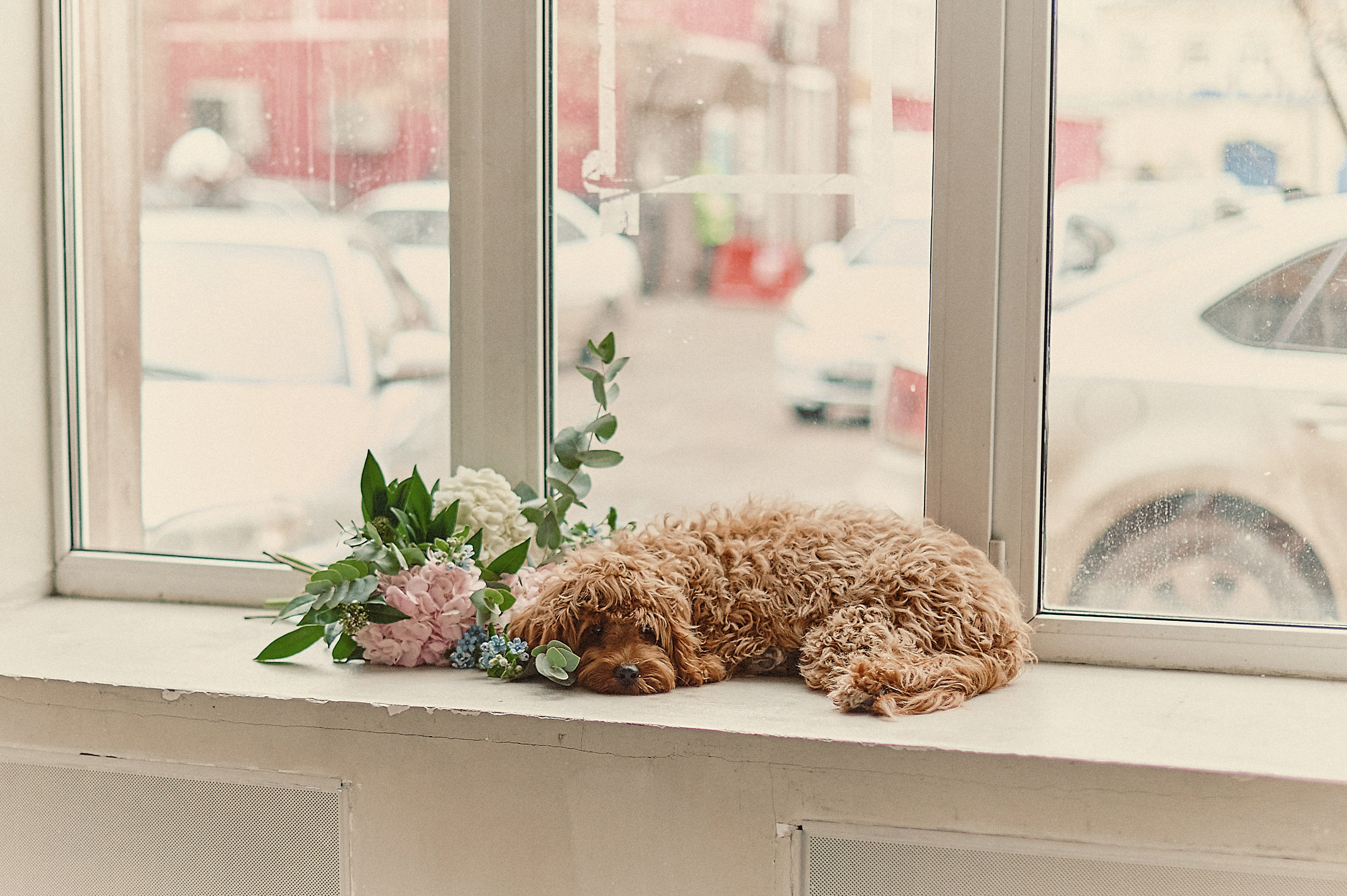 ИСТОРИЯ ОДНОЙ ПУЗОЖИТЕЛЬНИЦЫ. Свадебный и семейный фотограф РИТА БОЧКАРЁВА