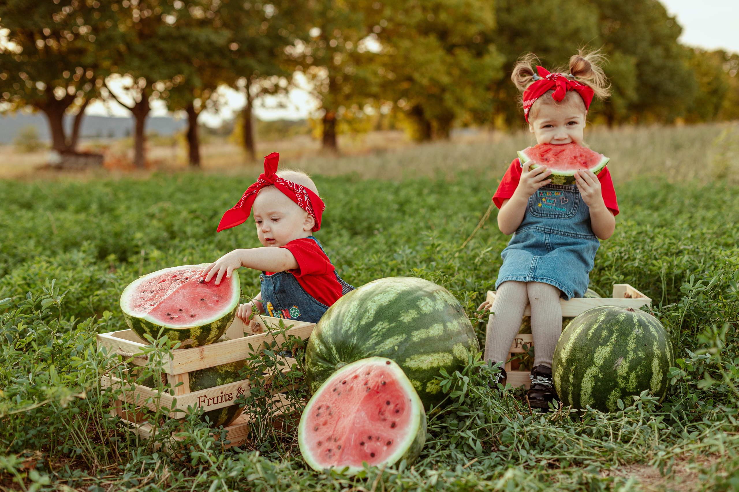 АРБУЗЫ. Семейный и детский фотограф в Крыму Екатерина Швец