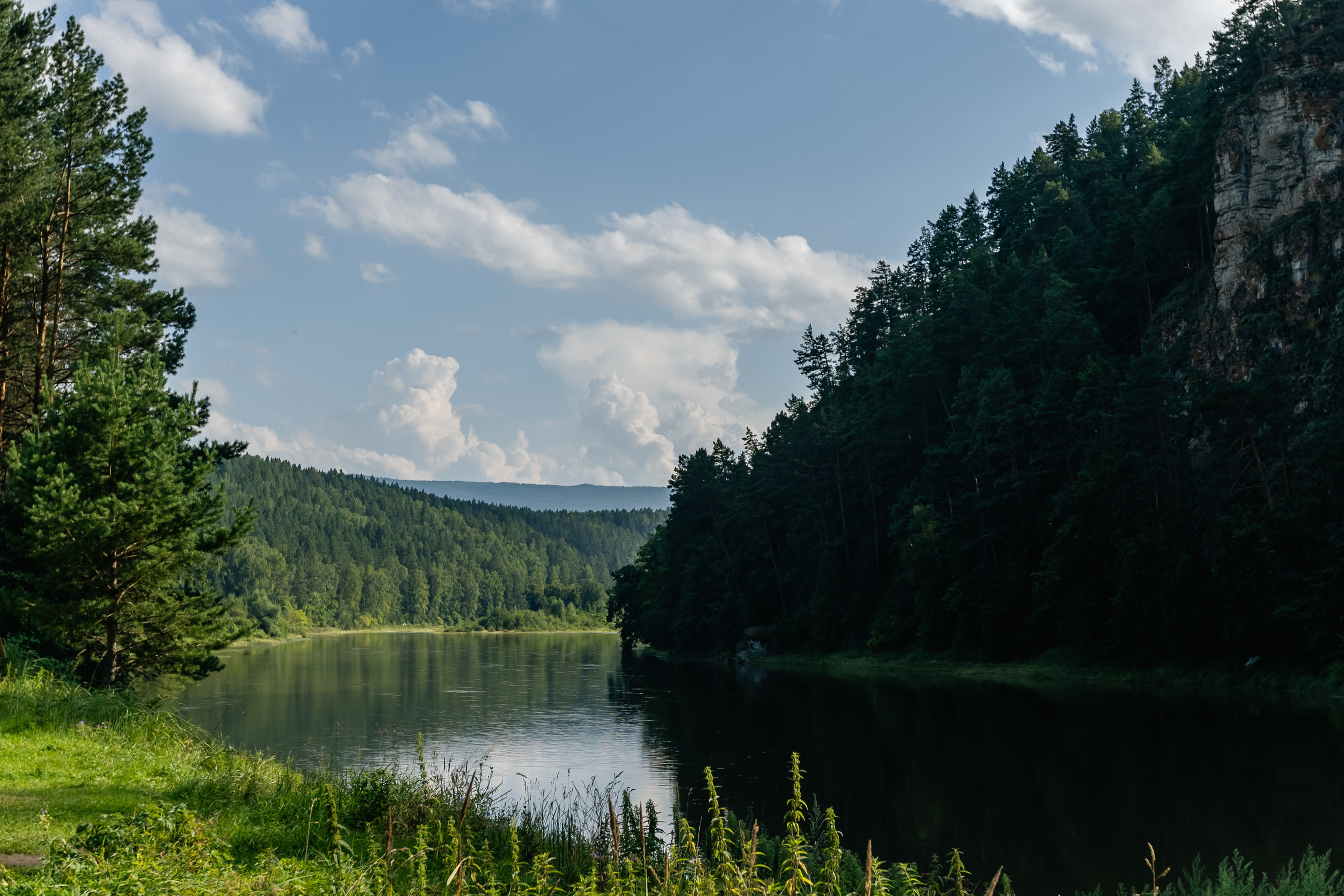 VI ОТКРЫТЫЕ КИНОЛОГИЧЕСКИЕ СОРЕВНОВАНИЯ. ЧЕЛЯБИНСКАЯ ОБЛАСТЬ 2025. Репортажный фотограф Наталья Лапцевич
