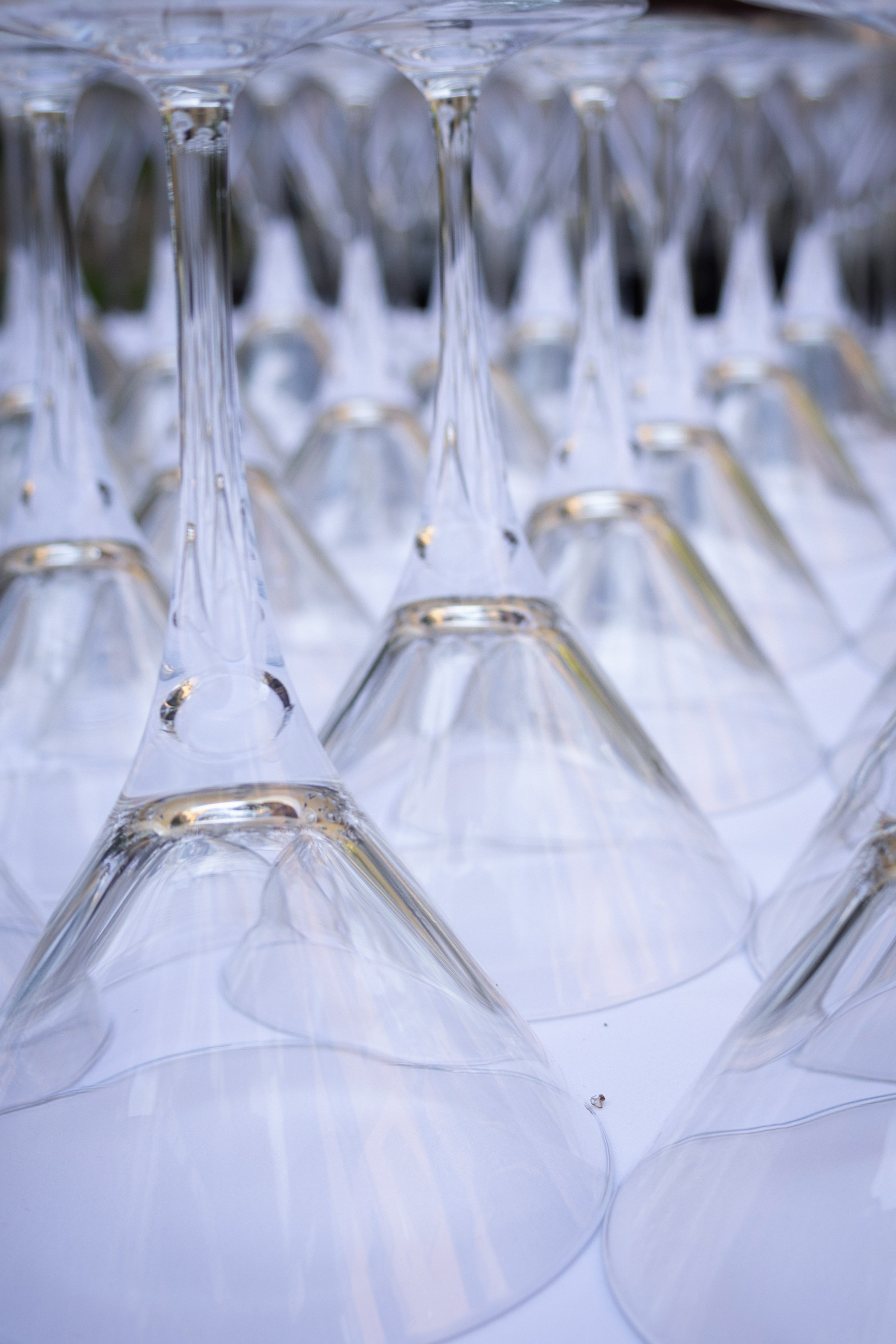 Prague, book presentation. Magic photos