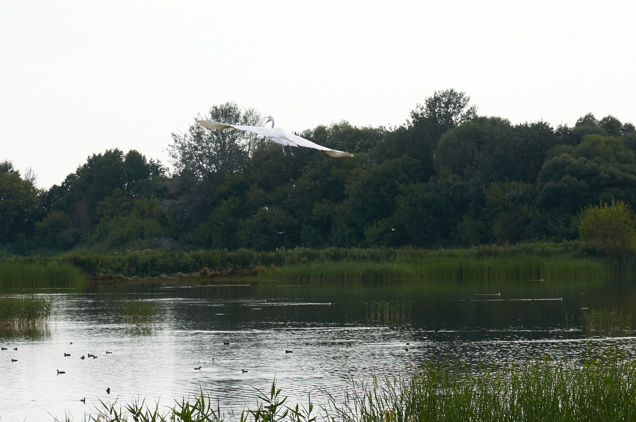 Заповедные уголки Земли: обитатели дикой природы. Координаты красоты — география в фокусе