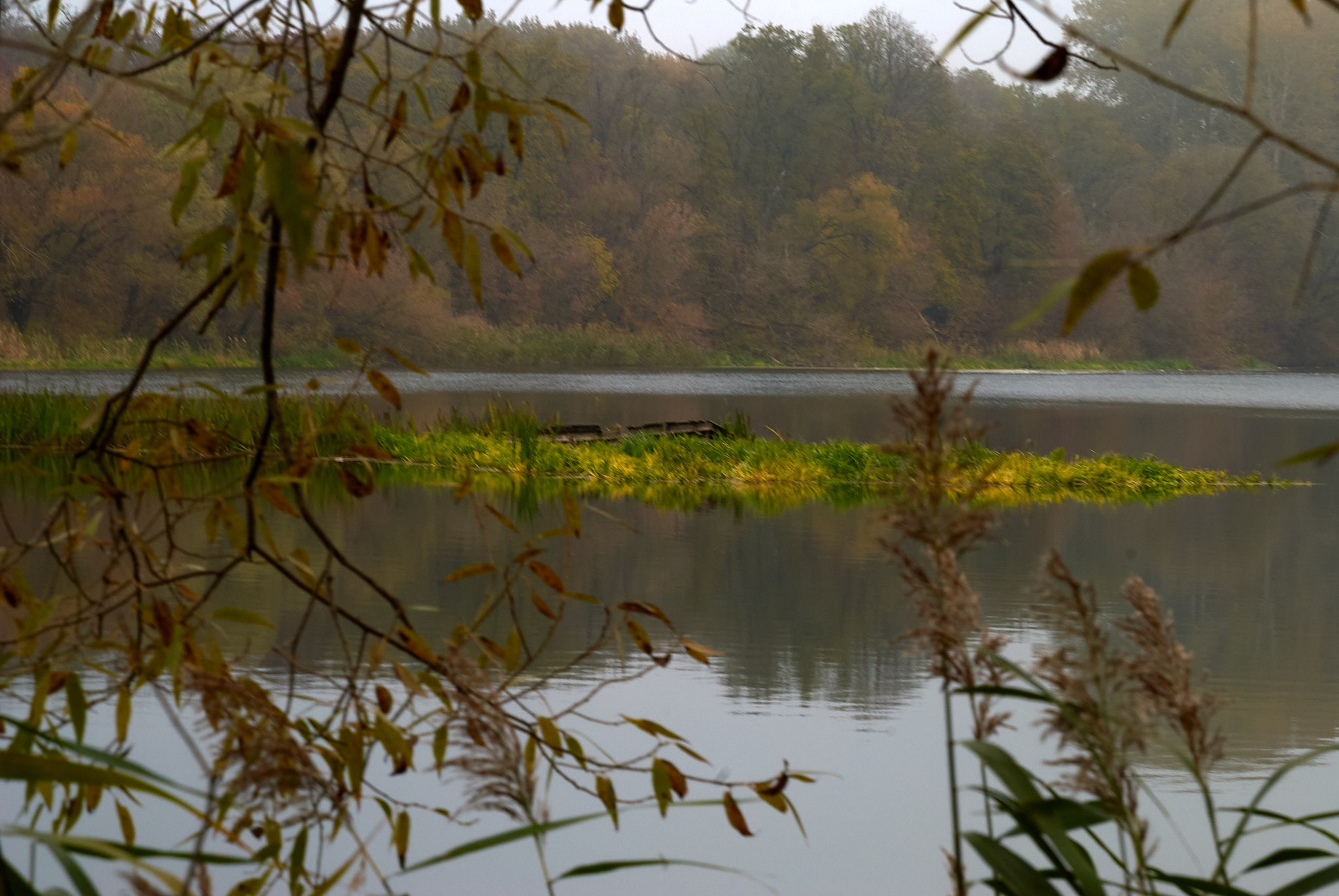 Искусство пейзажа: гармония природы в фотографиях. Координаты красоты — география в фокусе