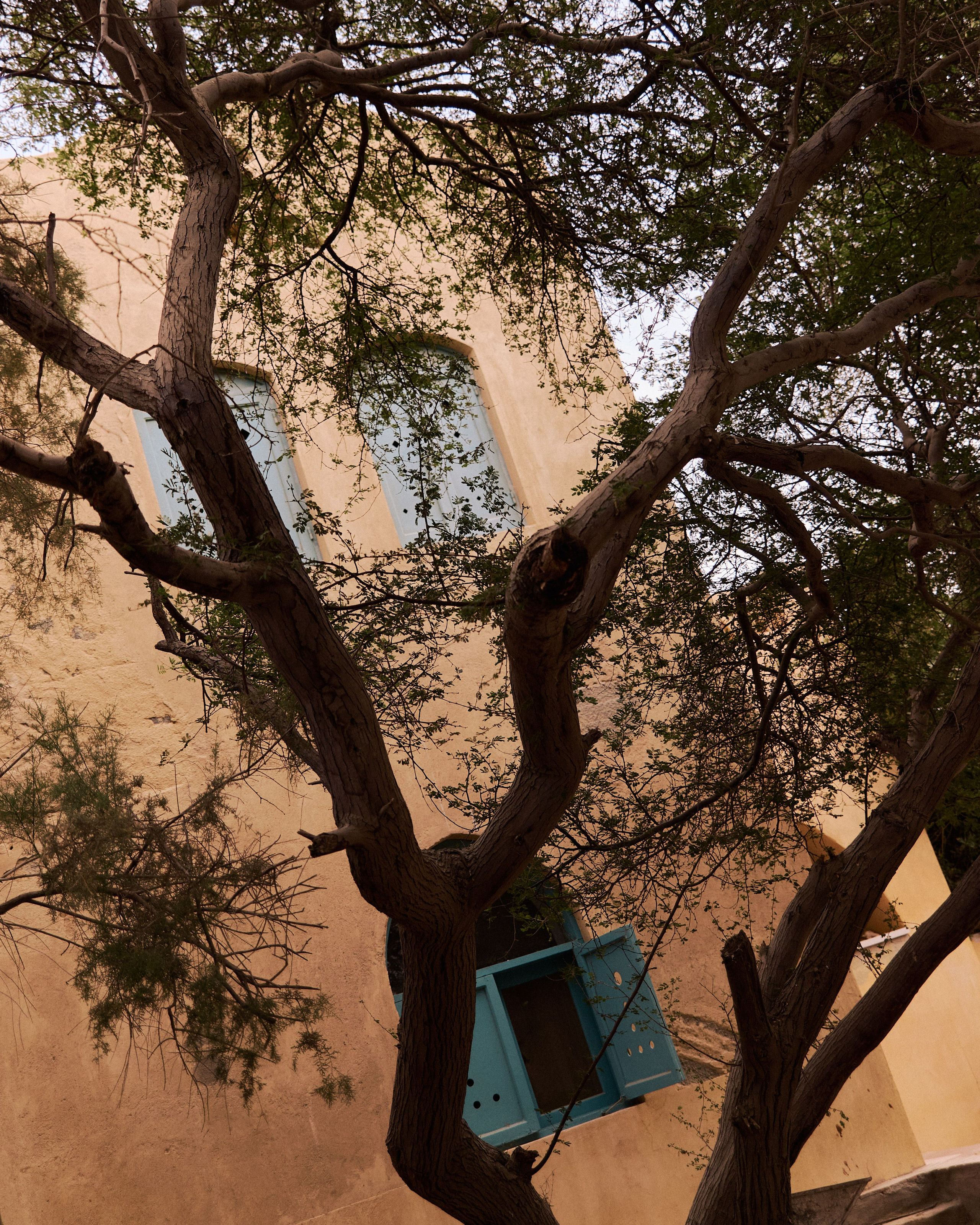 Другое 2. Jorgis Talè — photographer, kind person, teacher of arts and other mag