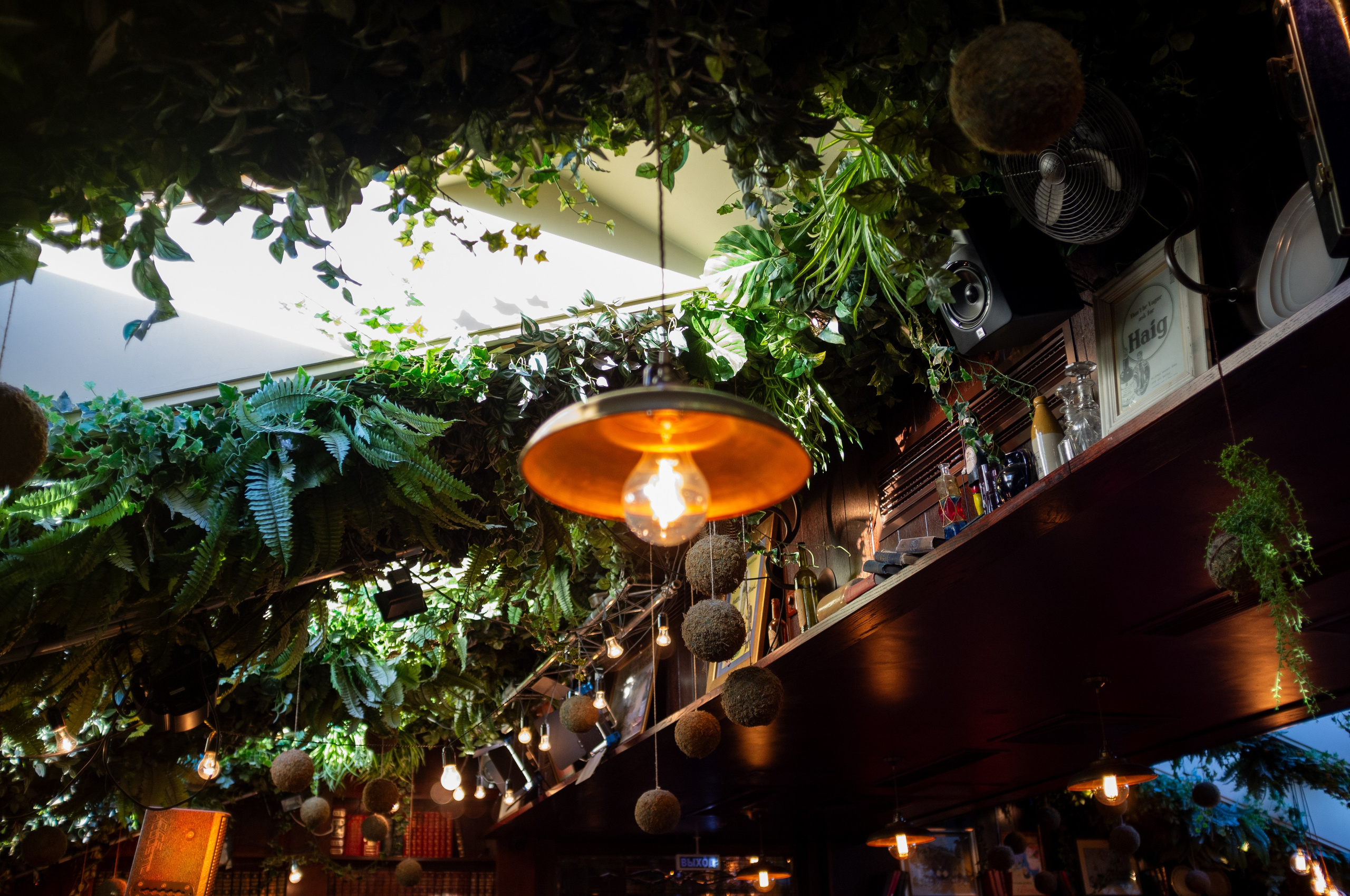 Китайский джаз и этника. Бронислав Виногродский в Kozlov club. Искусство фотографии. Мария Осокина