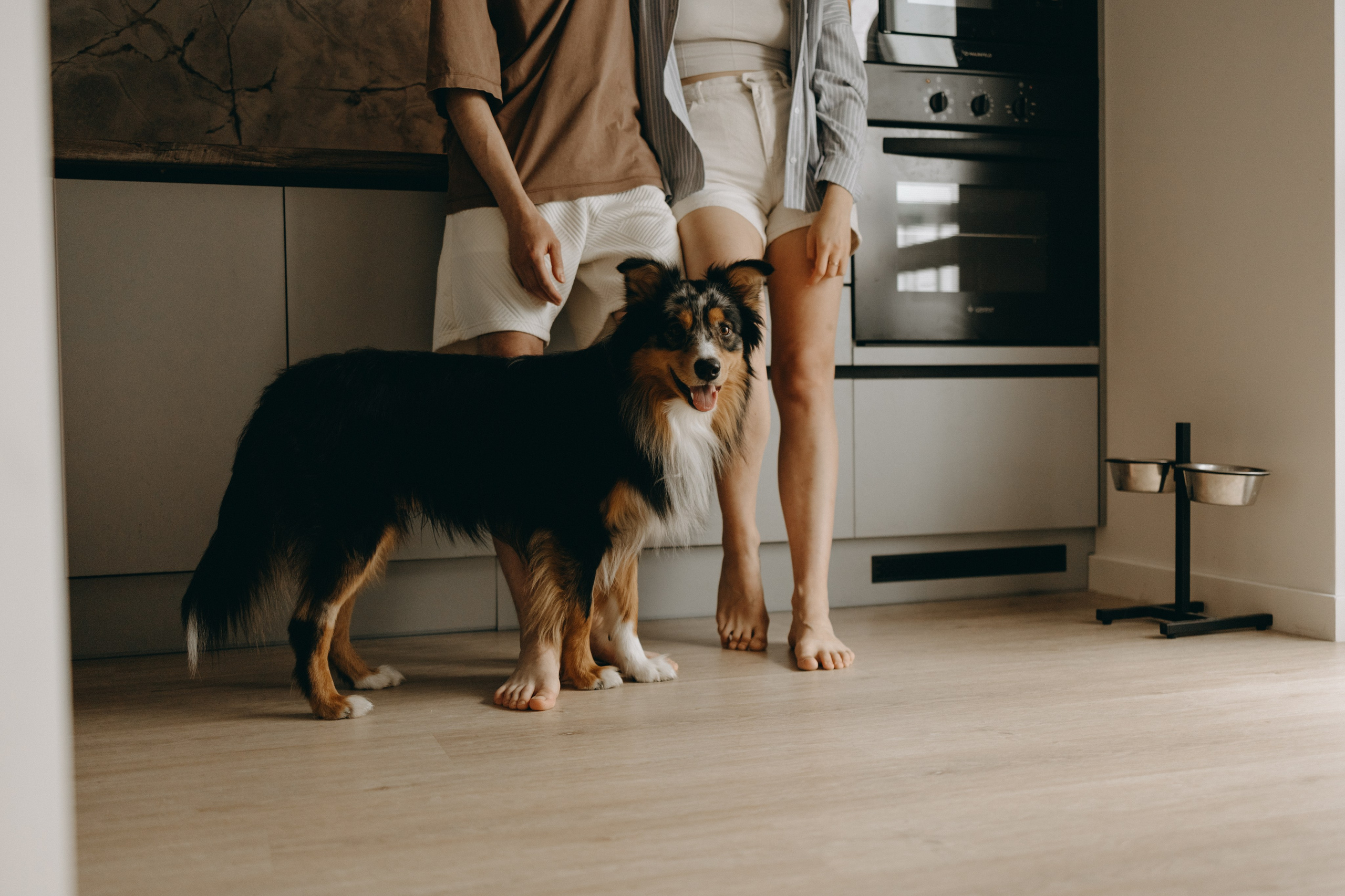 Настя, Никита и их Гром и Мяу. Фотограф — Анималист | Санкт-Петербург