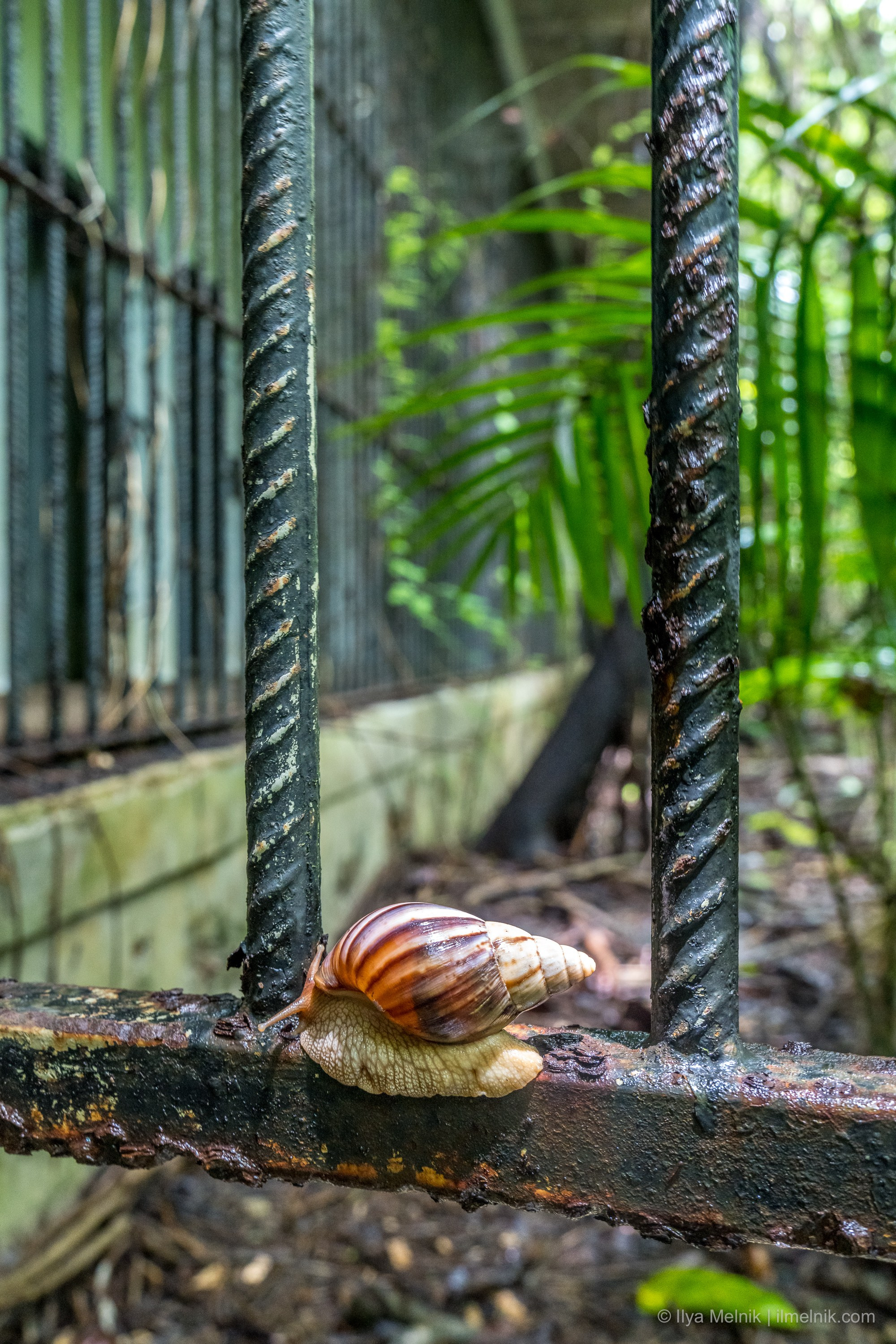 Seychelles. Ilya Melnik Photography