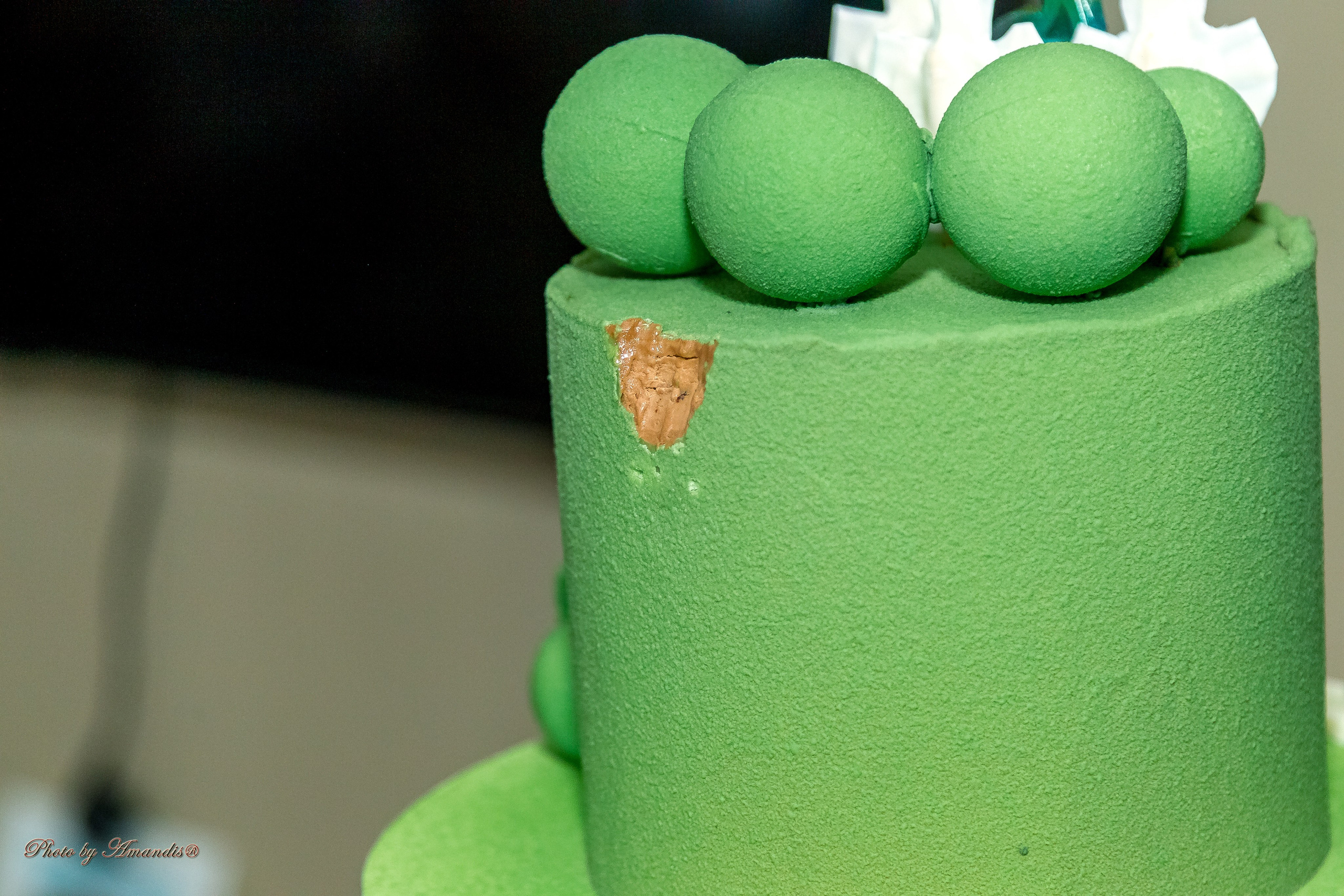 День рождения Лёвы (6 лет). Репортажная съемка в Москве и области. Анималистика