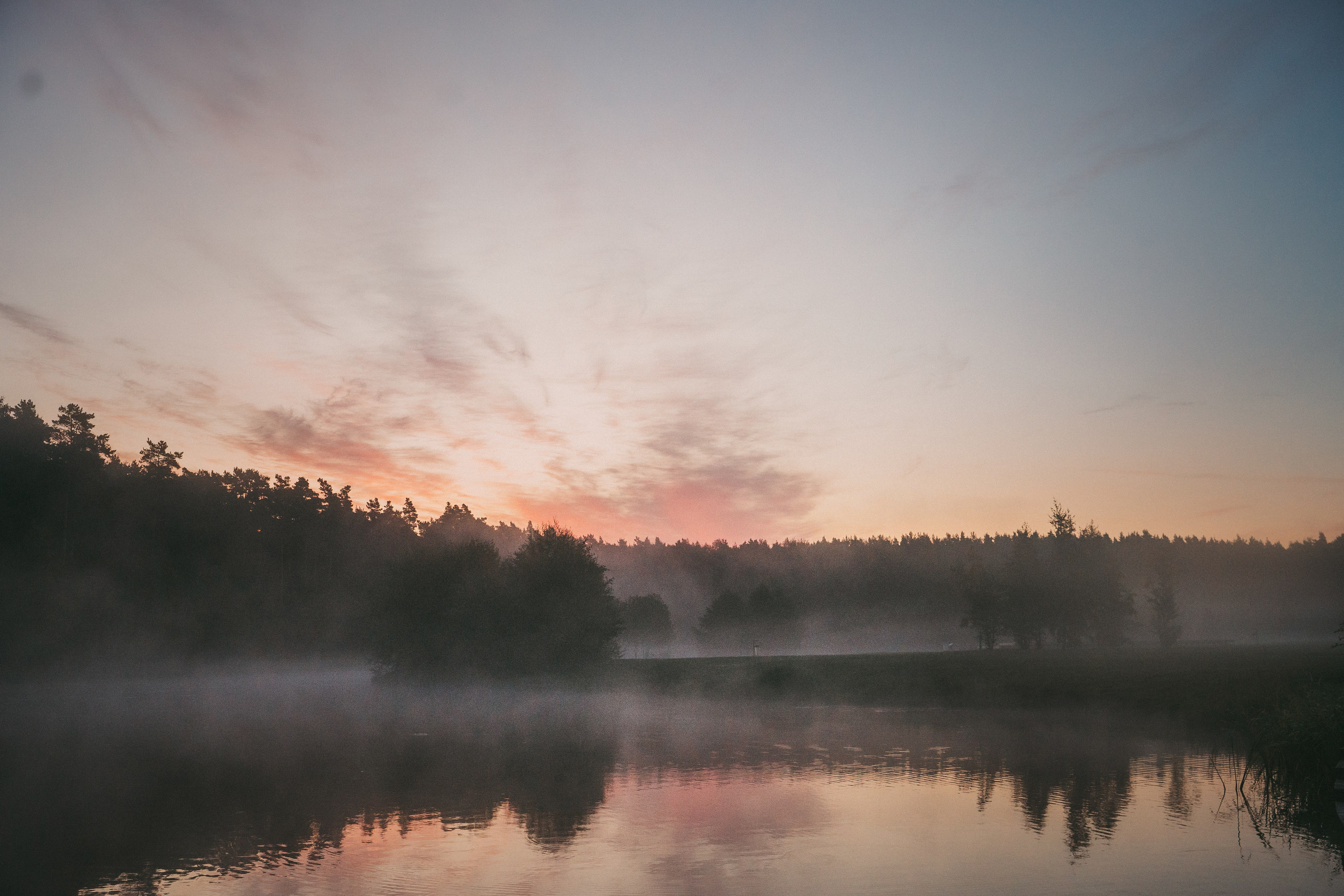 Катя, Сергей и Флинт. Фотограф анималист в Москве и Санкт-Петербурге Свиридова Анна