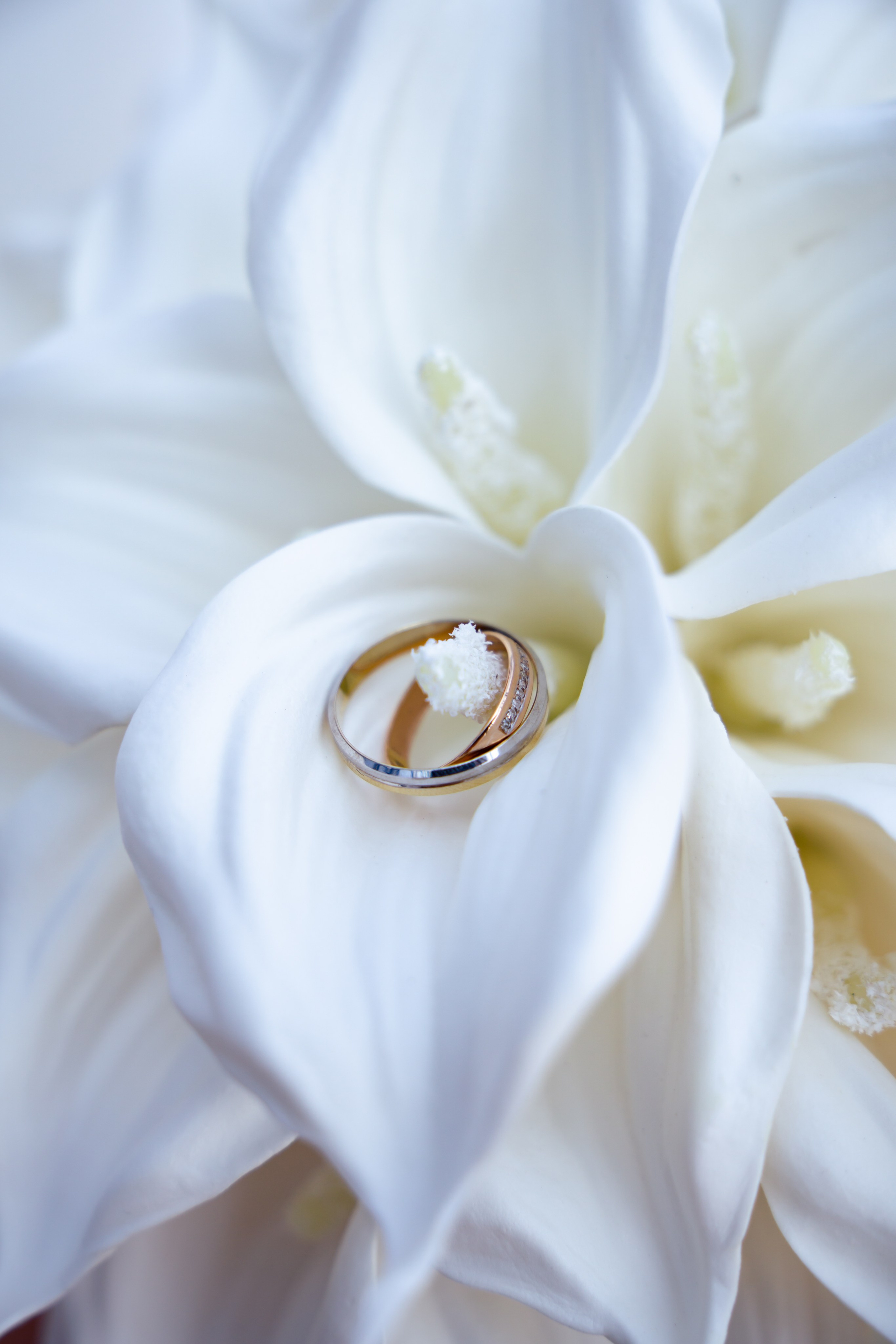 Илья и Полина. Фотограф Альберт Черных