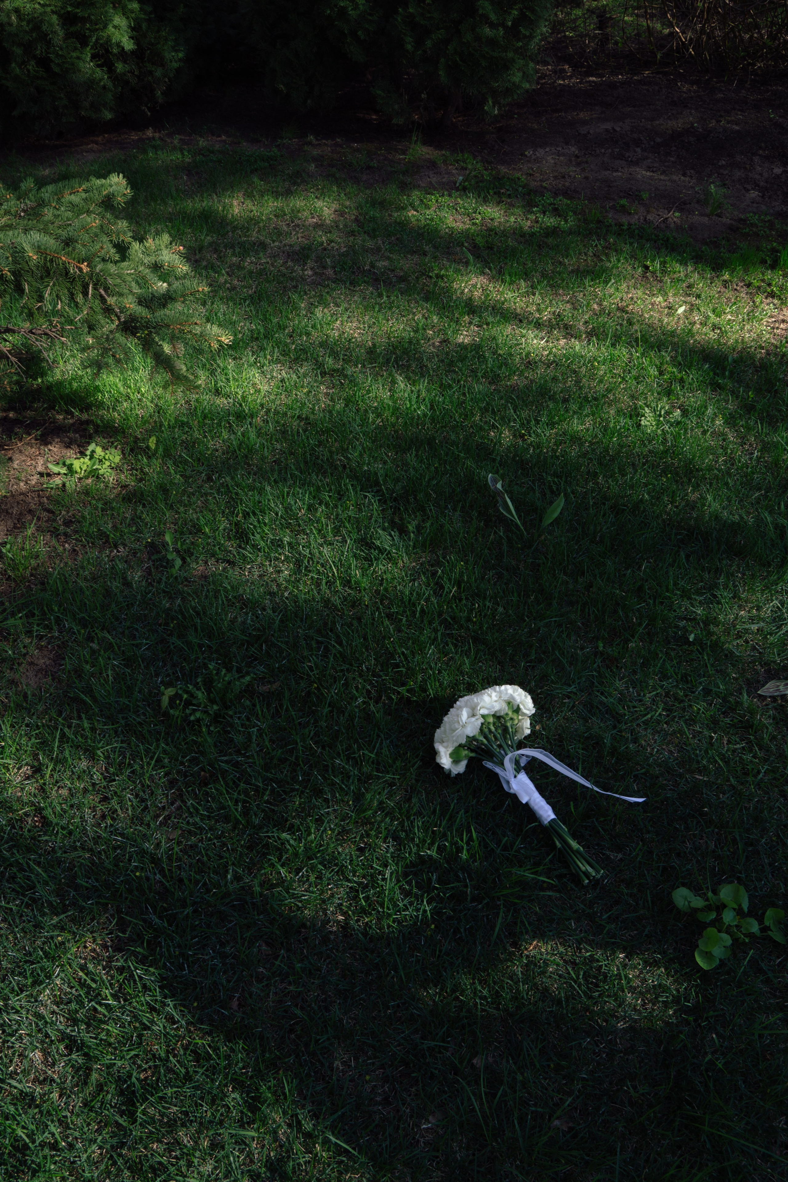 Анатолий и Елизавета. Фотограф Альберт Черных