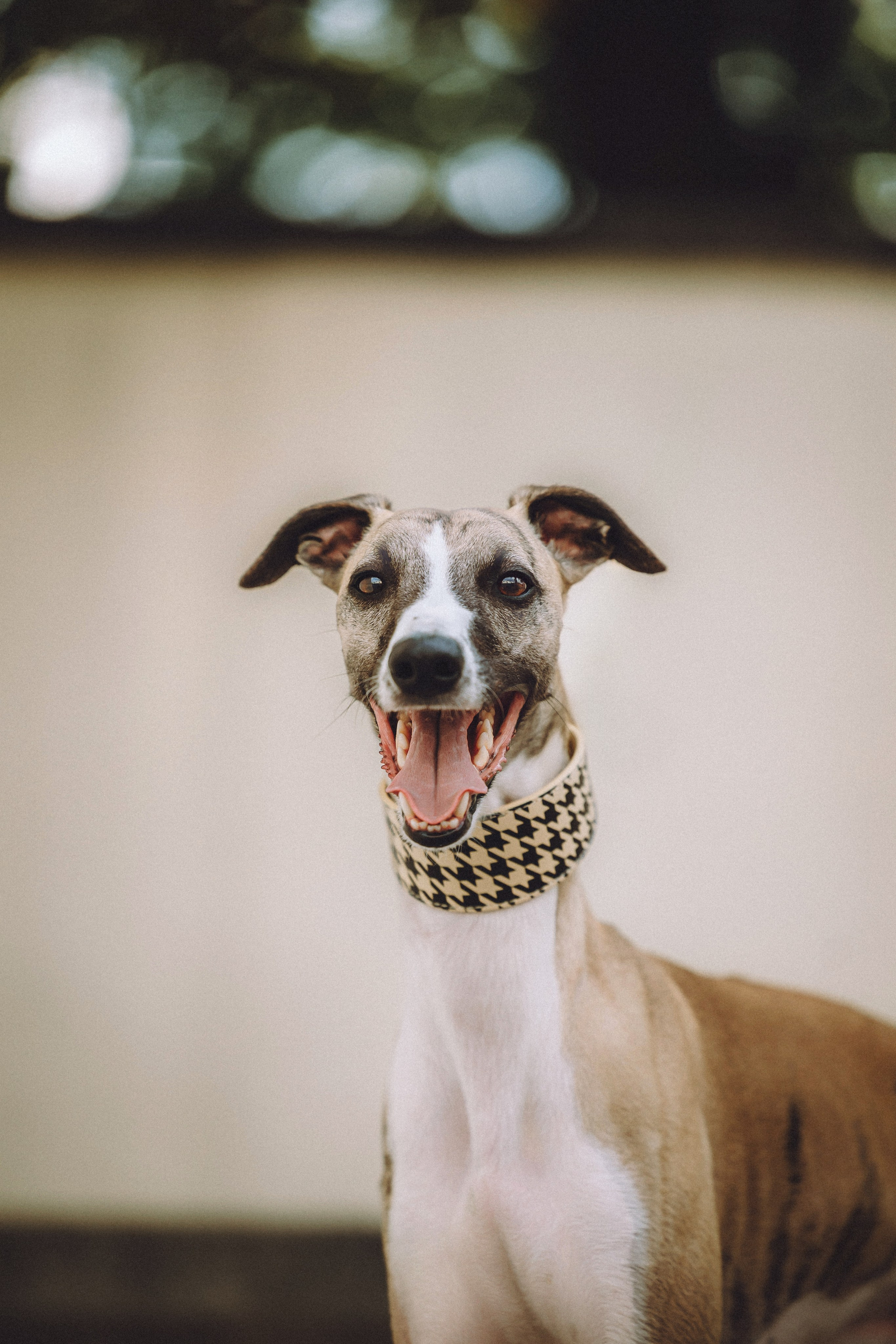 Ирина, Илья и Рик