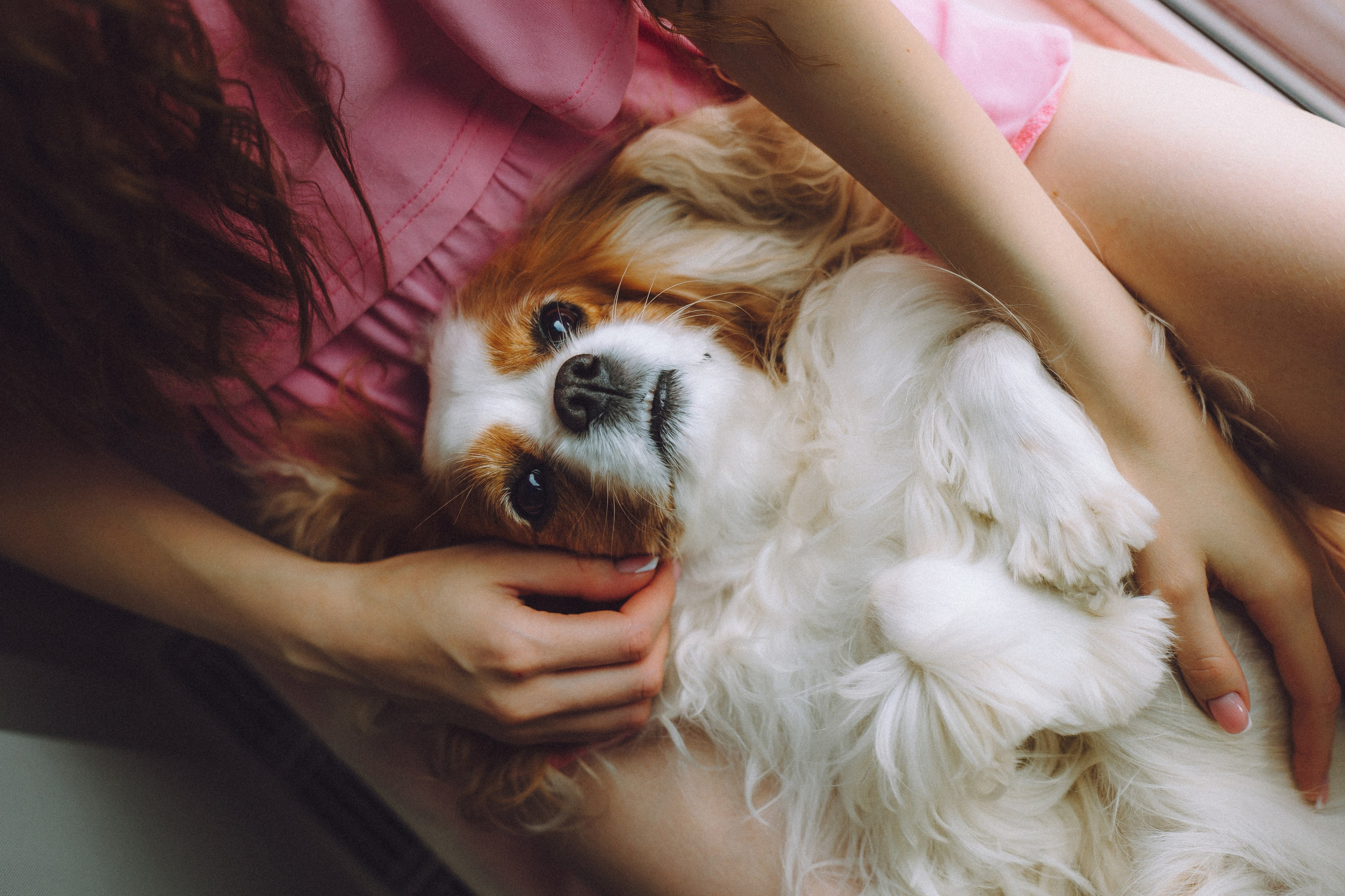 Наташа и Вики