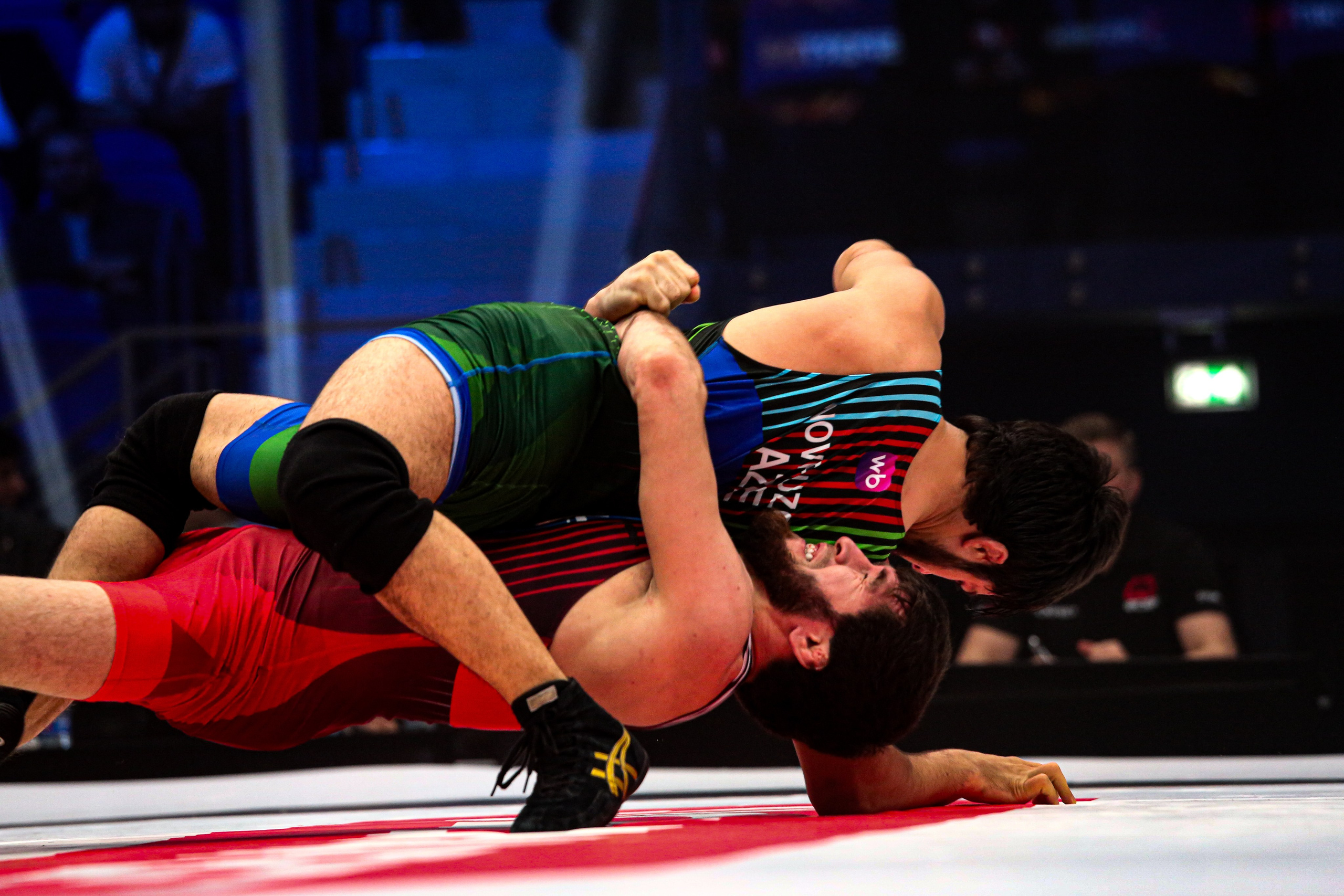 Профессиональная борцовская лига (PWL) 10. «Спорт через объектив: история в каждом снимке!»