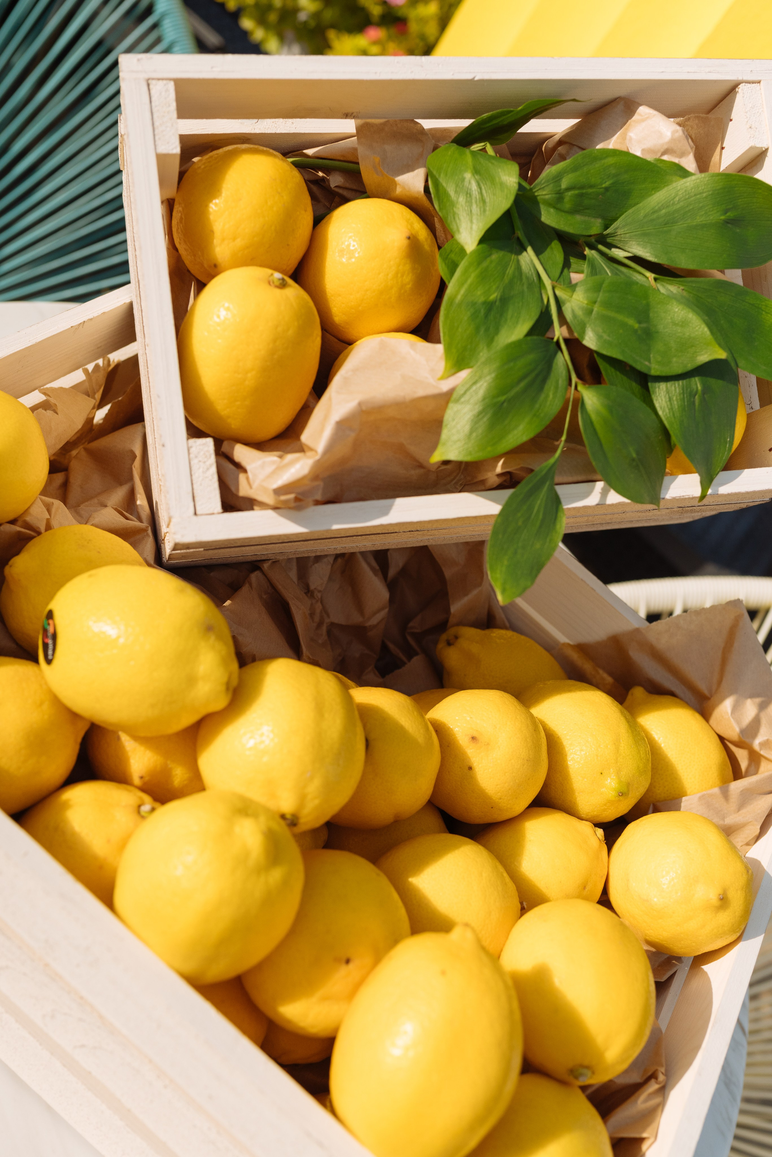 Лимонная вечеринка. Презентация журнала «Дорогое удовольствие». Фотограф Елена Кучук