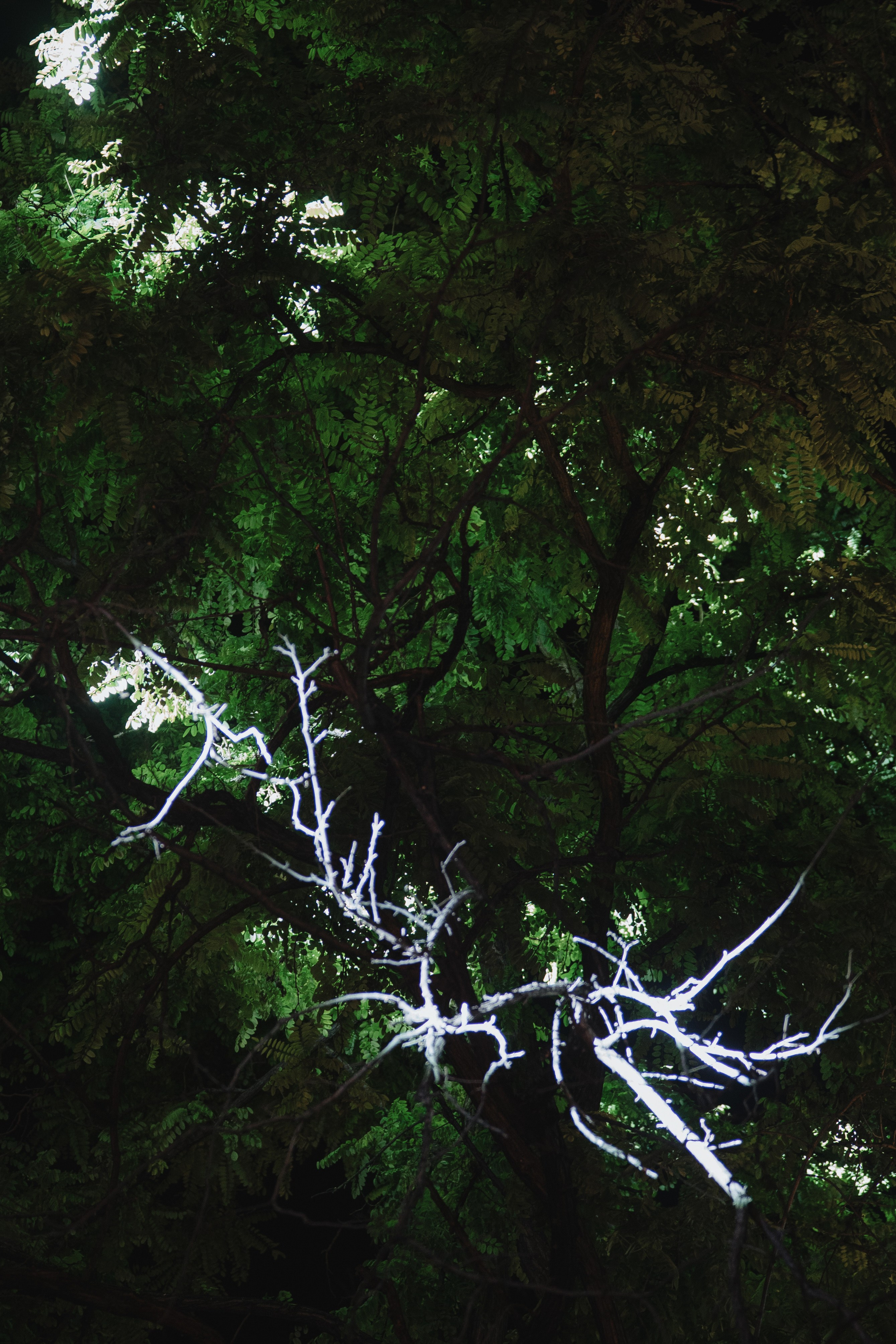 Casa Sur. Wedding & Documentary Photographer based in Nuremberg — available across Europe & Turkey | Vitalii Nasonov