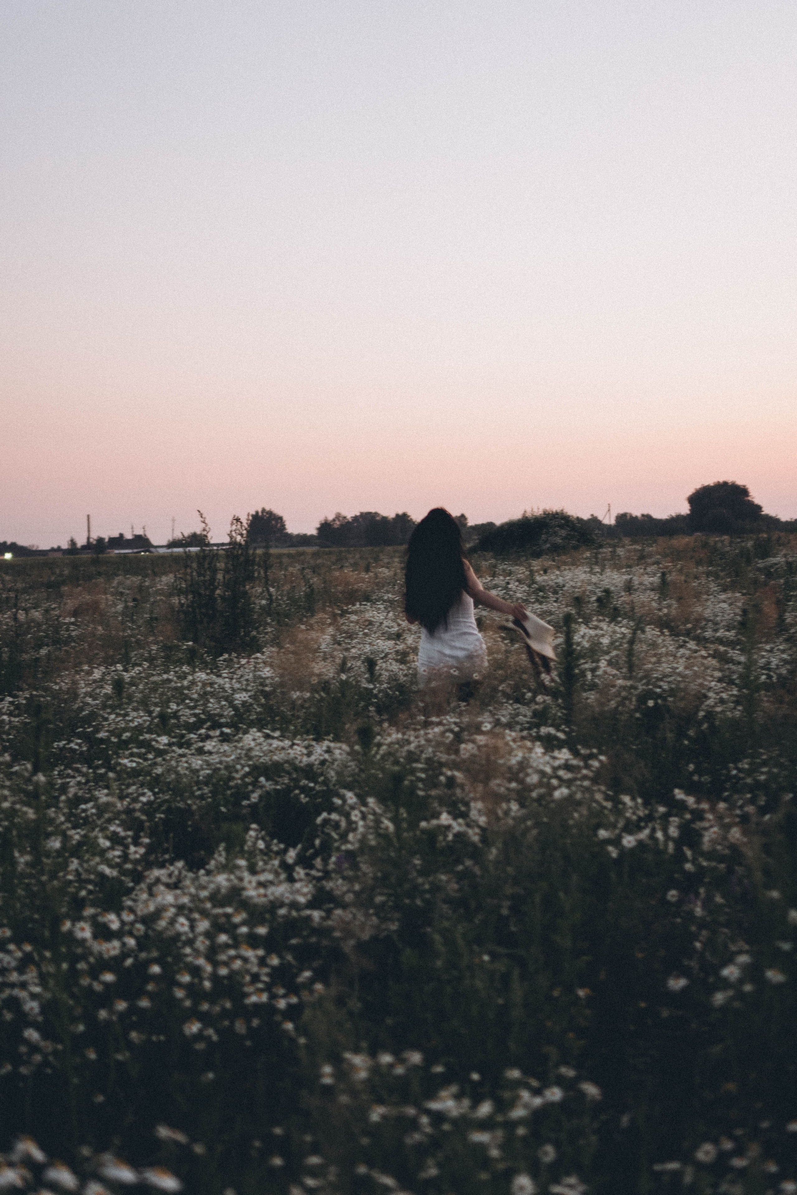 Ромашковое поле. Профессиональный фотограф, Санкт-Петербург — Виктория Богомолова