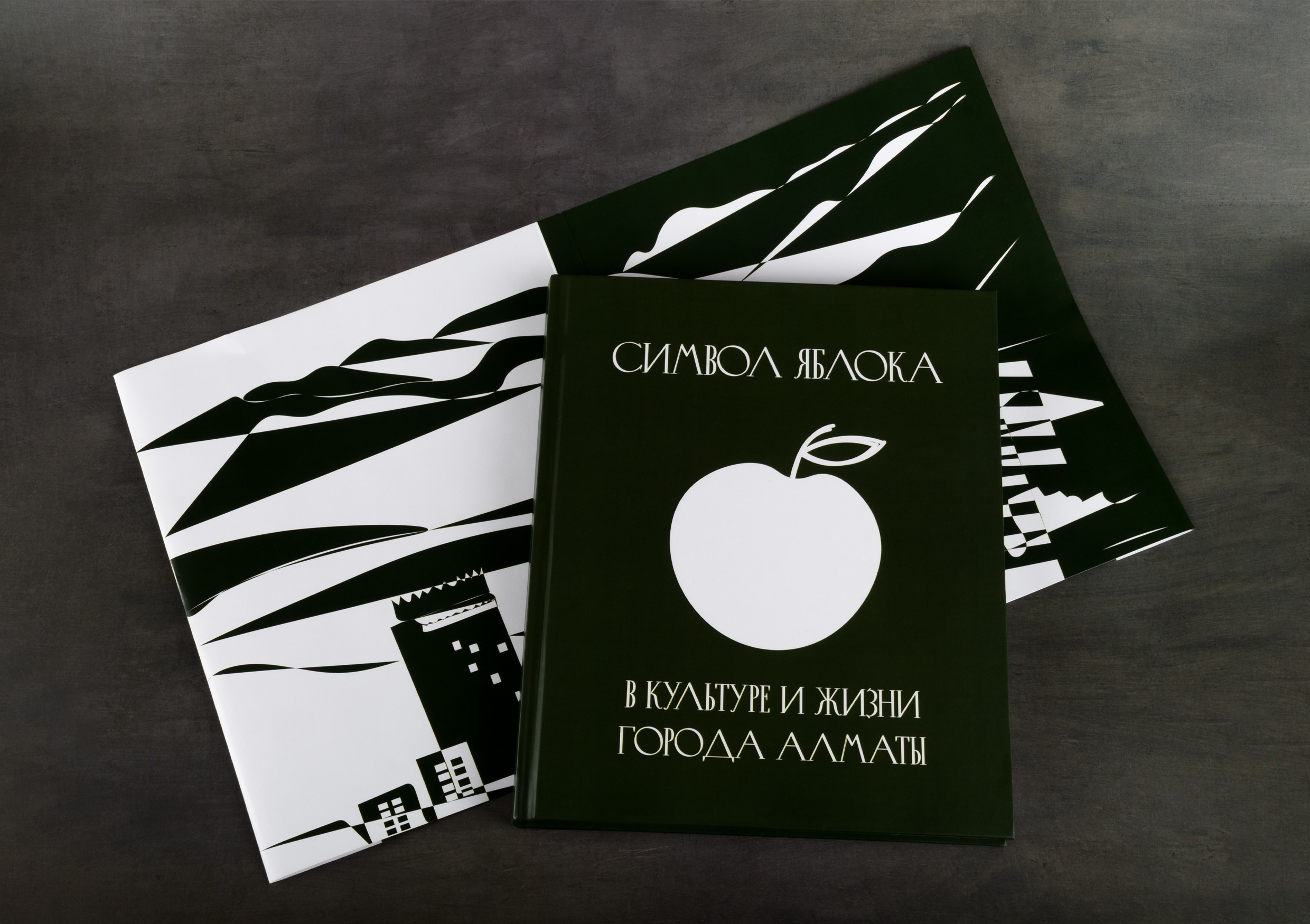 Предметная съёмка книги. Предметный, рекламный, ювелирный фотограф в Москве