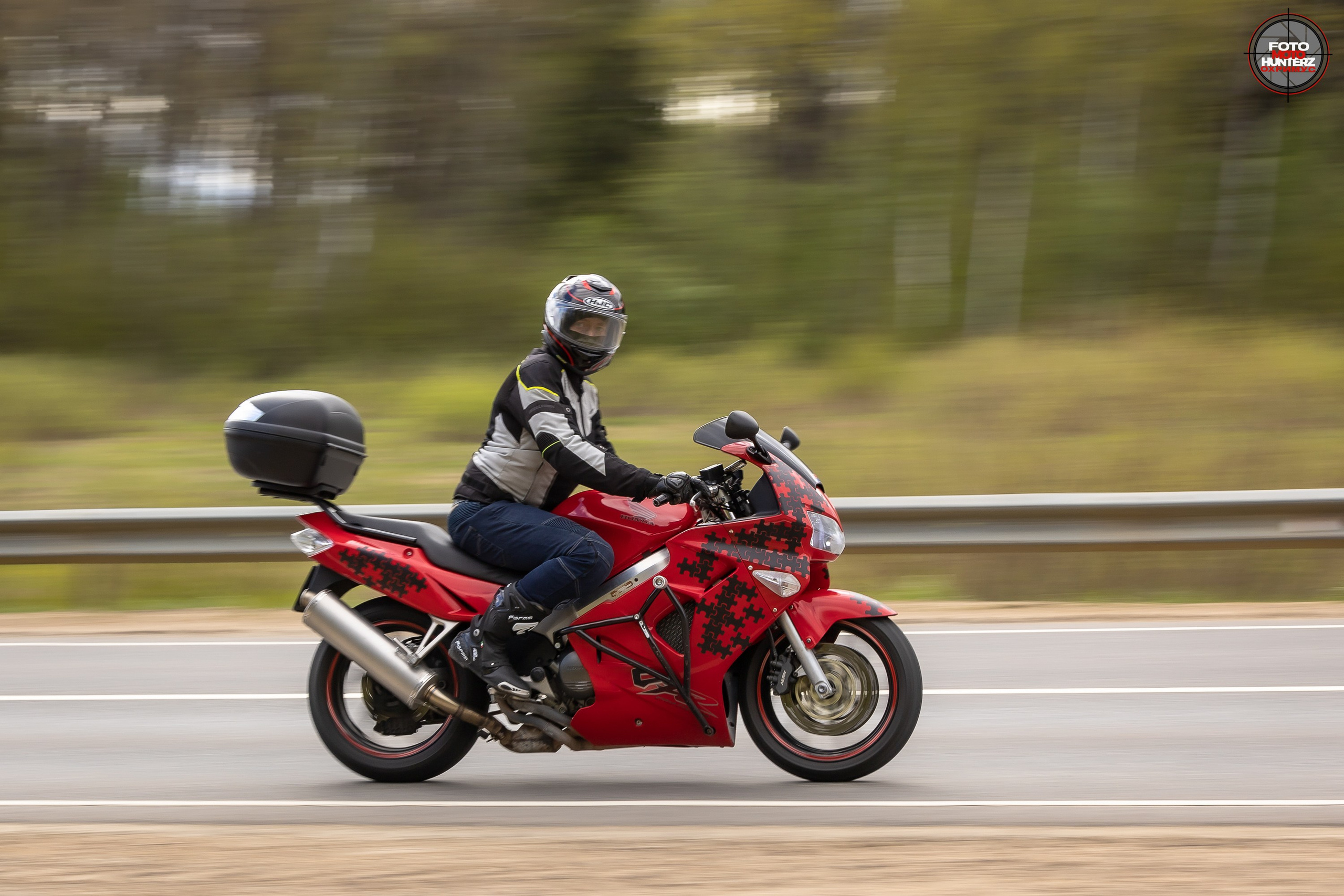 Первое Сафари в 2025 г. на Рогачевском ш. Фотограф Владимир Охрименко