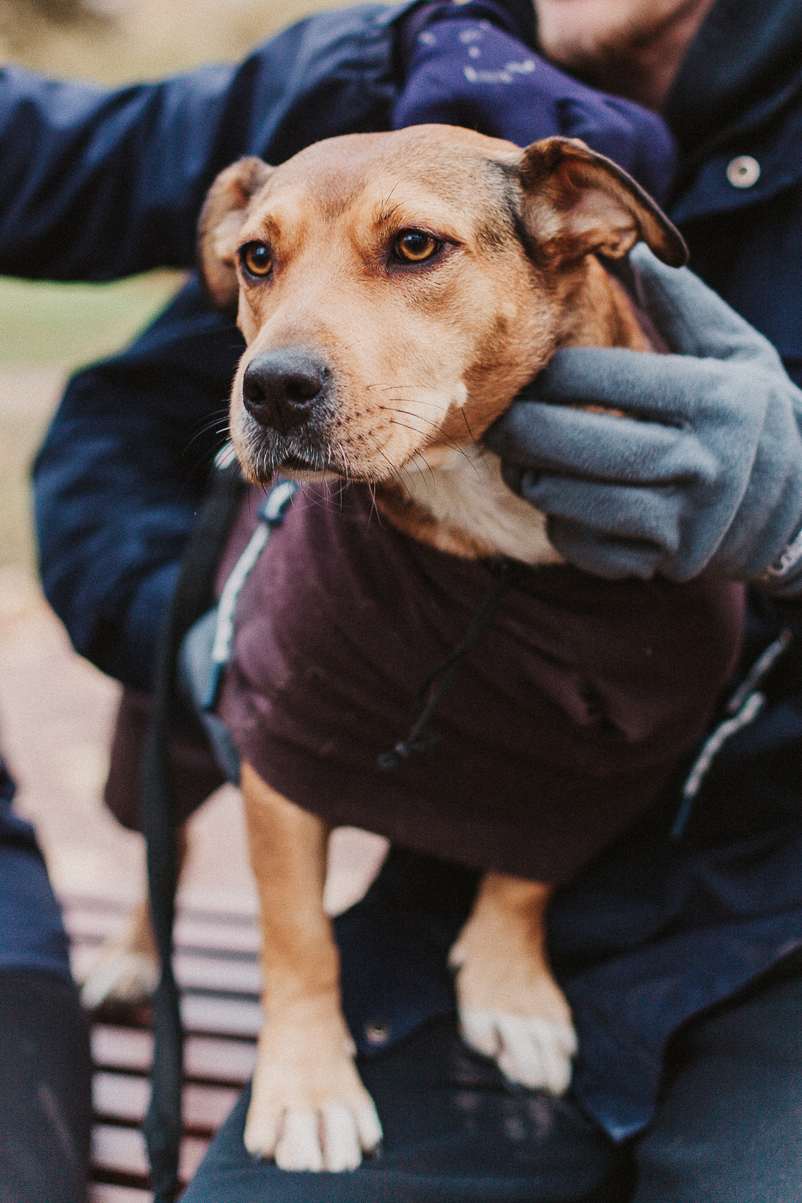 Тёма и Таня. Aourica — Фотограф Ольга, Санкт-Петербург, Москва, Гагарин