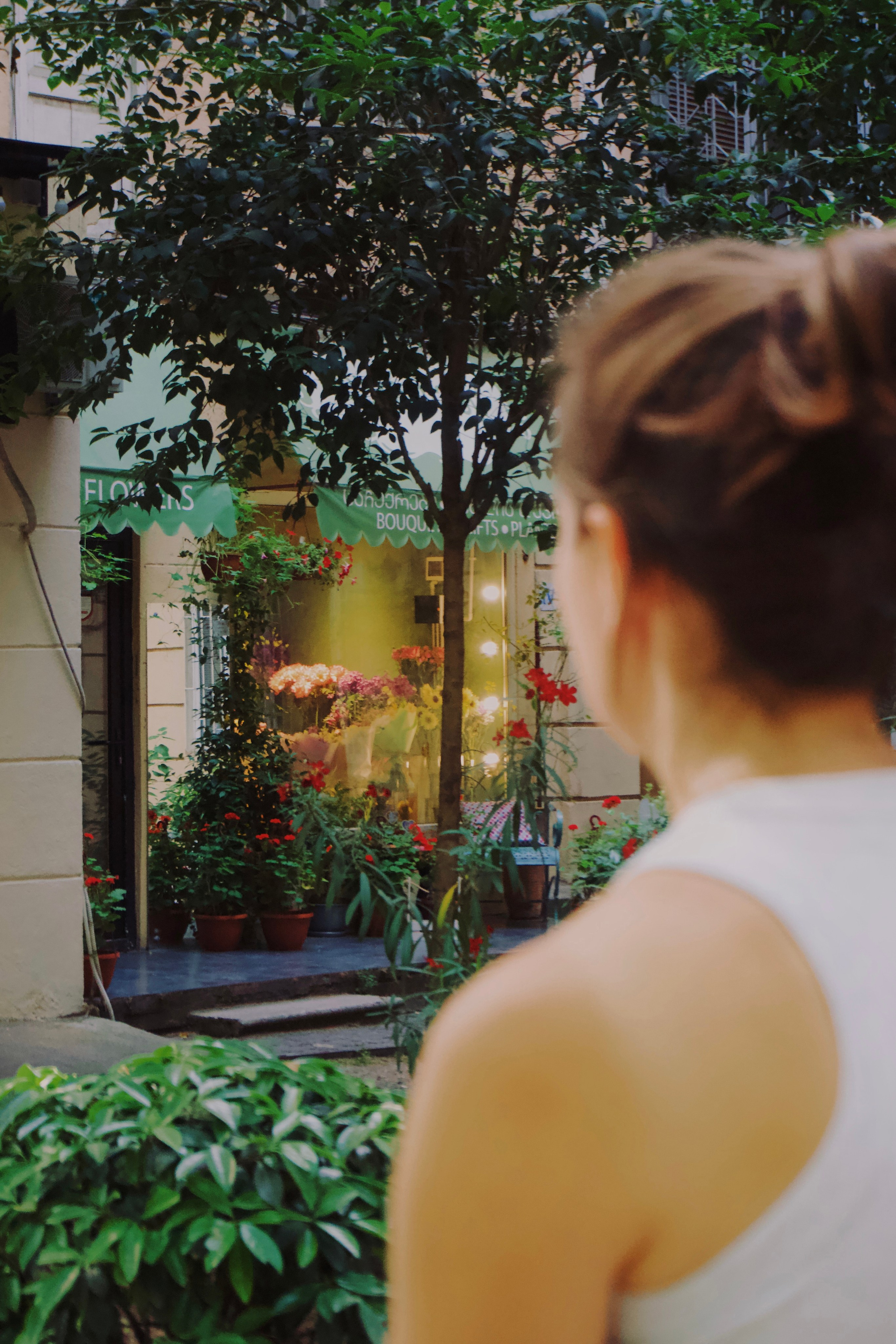 Тбилиси. Татьян гертье