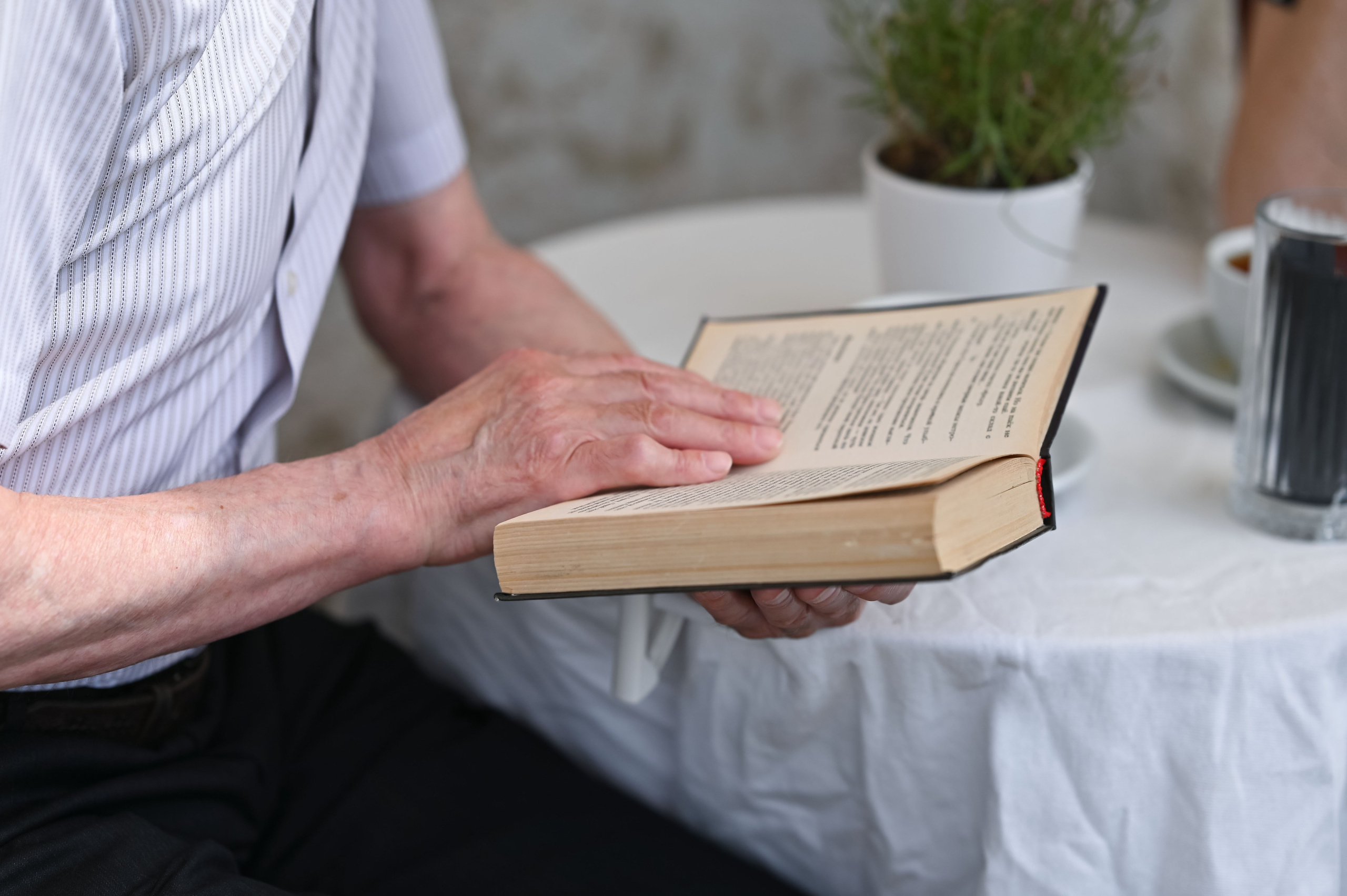 Морские прогулки. ZDARONOKIA Репортажный фотограф