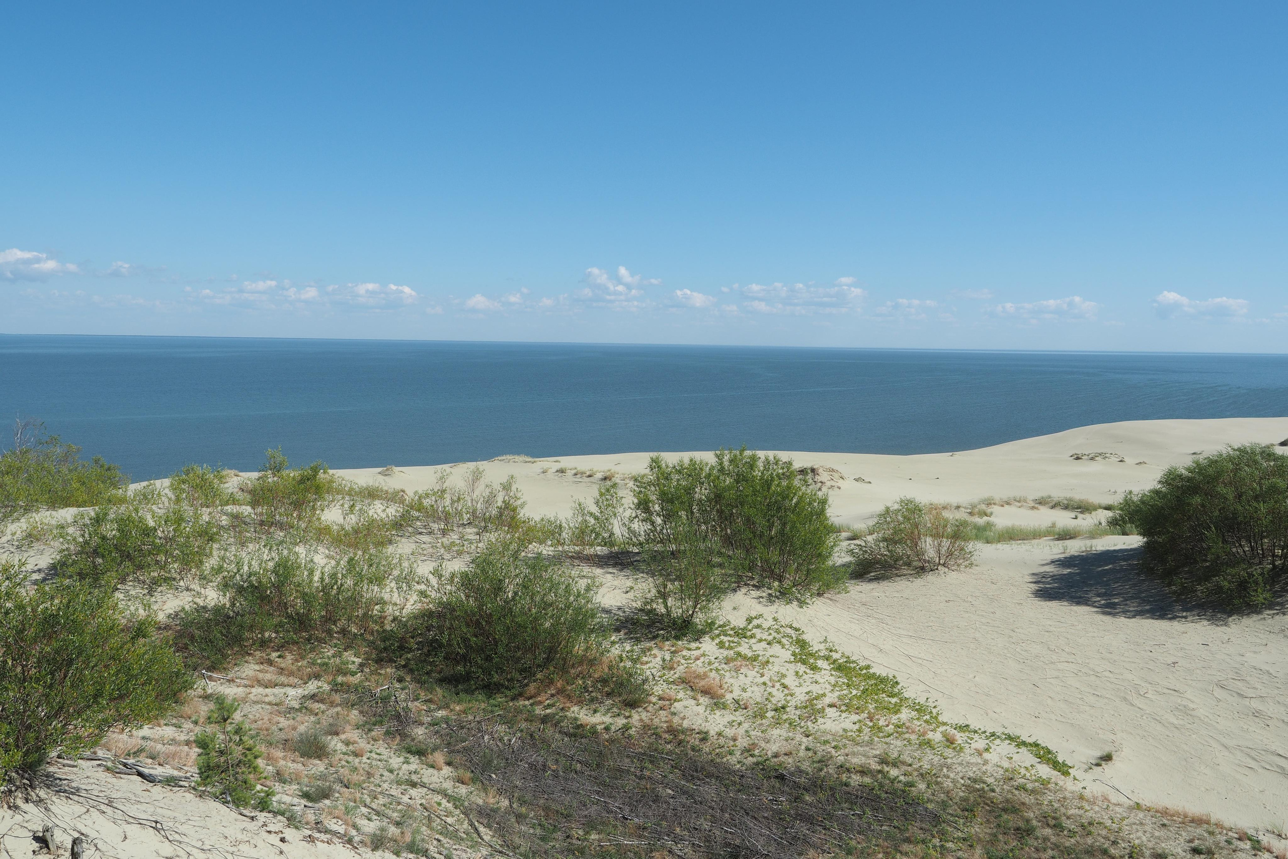 Куршская коса. Экскурсии по Калининграду