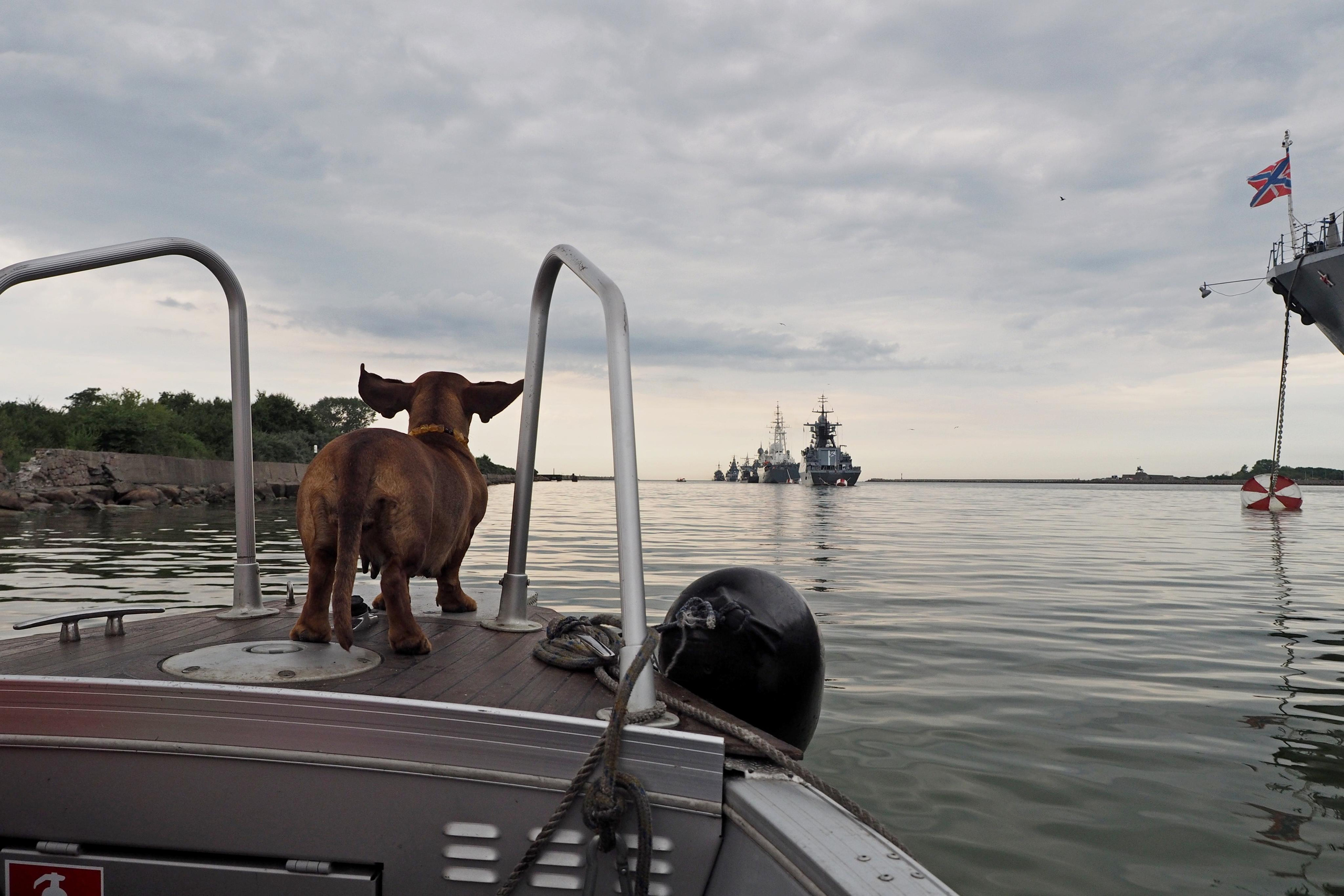 Балтийск. Экскурсии по Калининграду