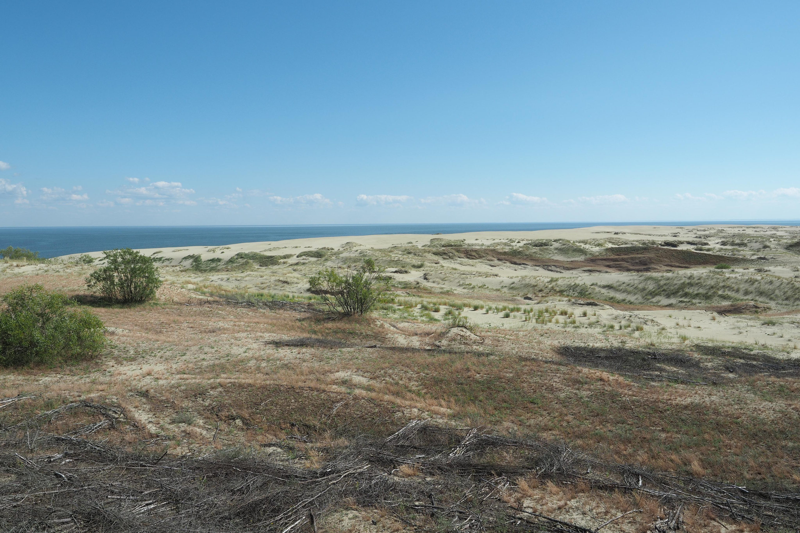 Куршская коса. Экскурсии по Калининграду