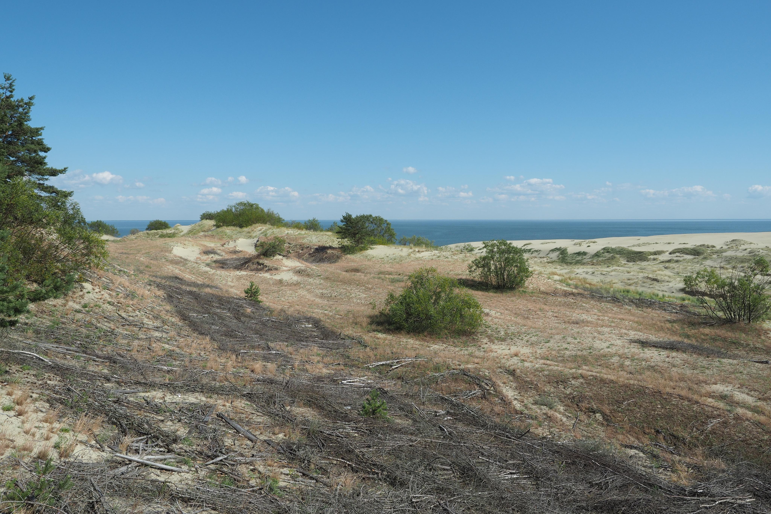 Куршская коса. Экскурсии по Калининграду