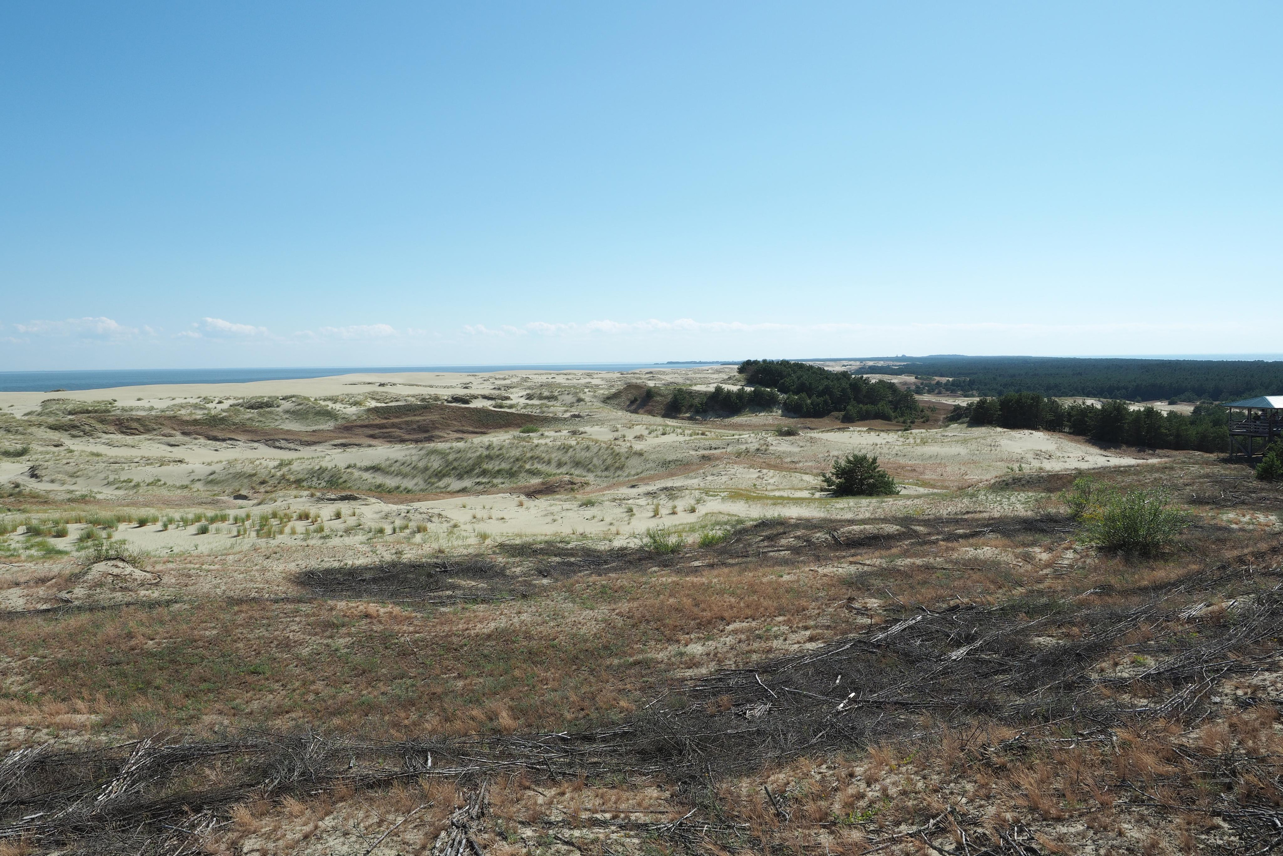 Куршская коса. Экскурсии по Калининграду