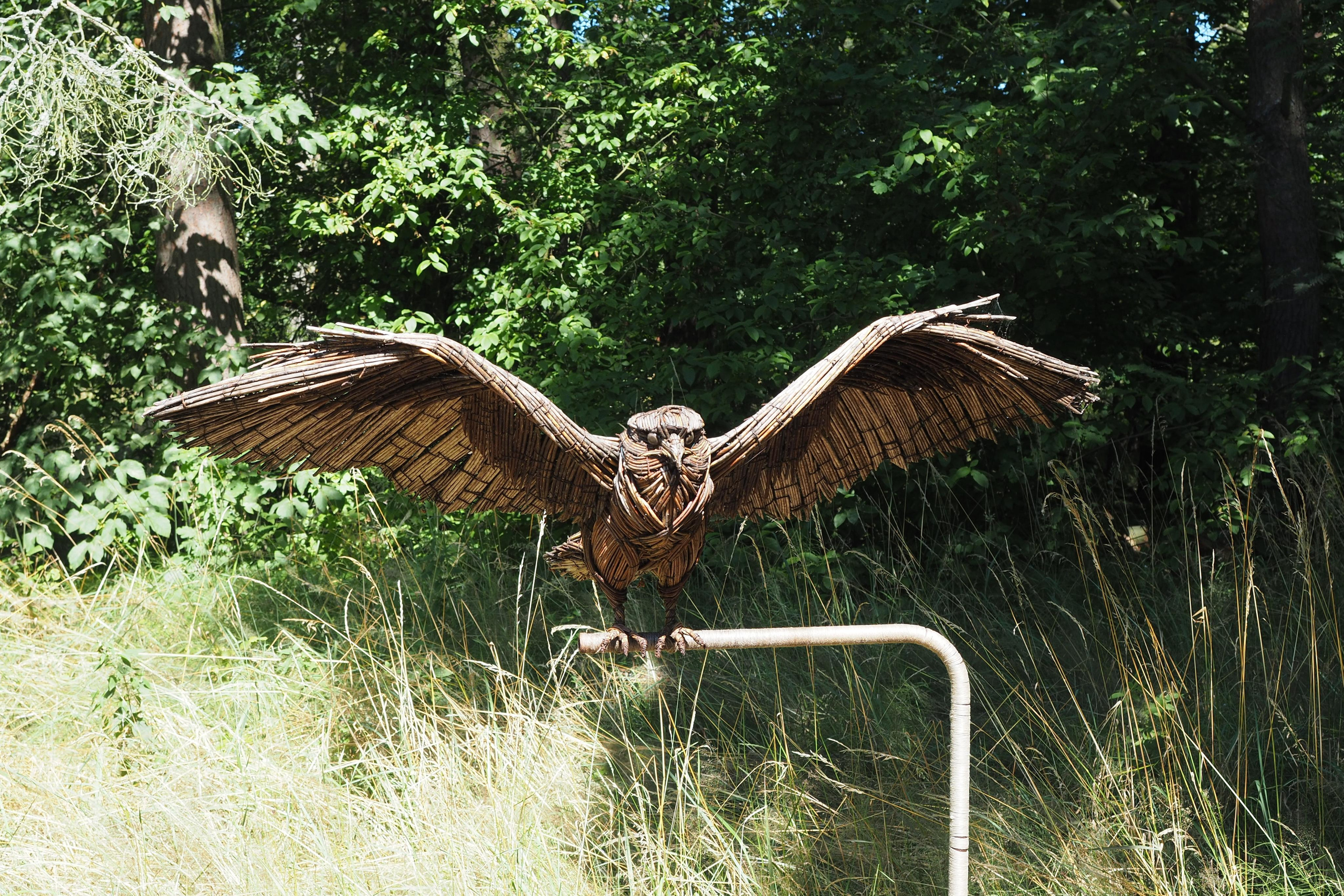 Куршская коса. Экскурсии по Калининграду