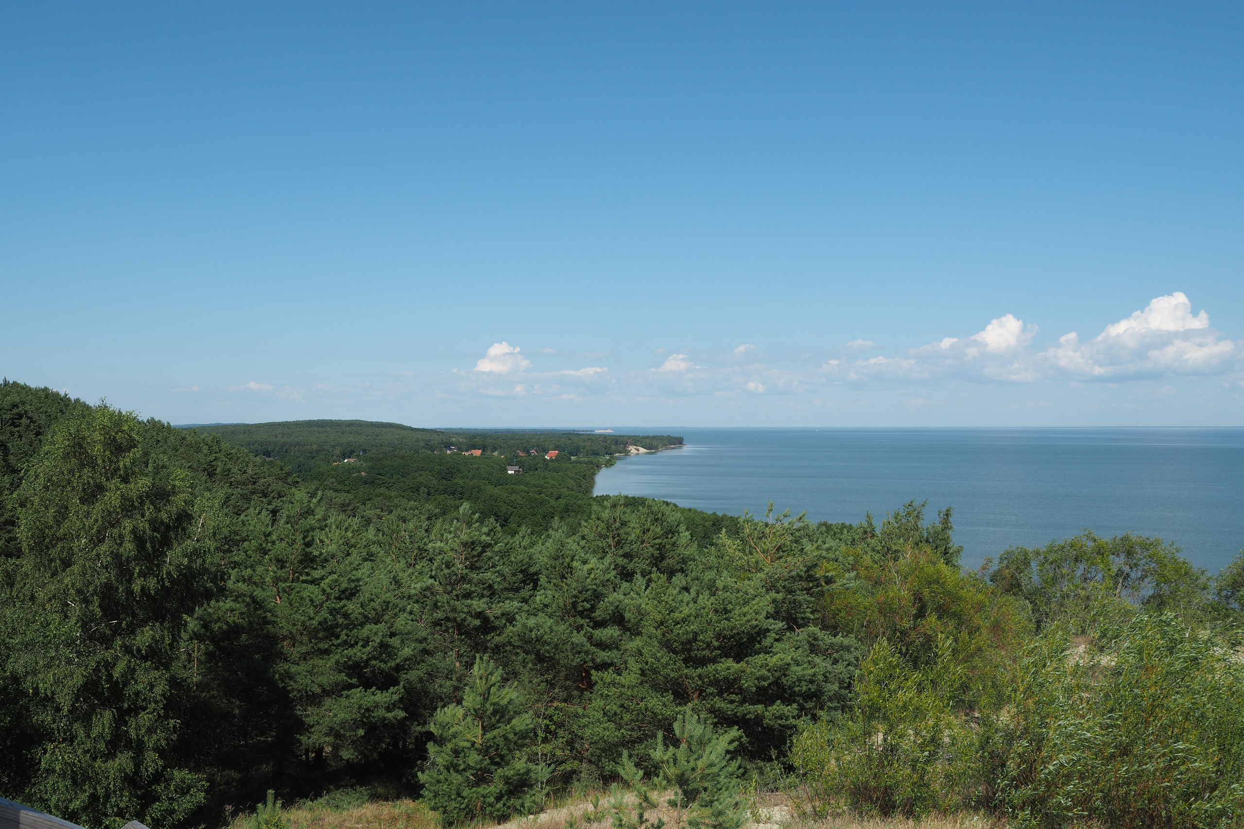 Куршская коса. Экскурсии по Калининграду