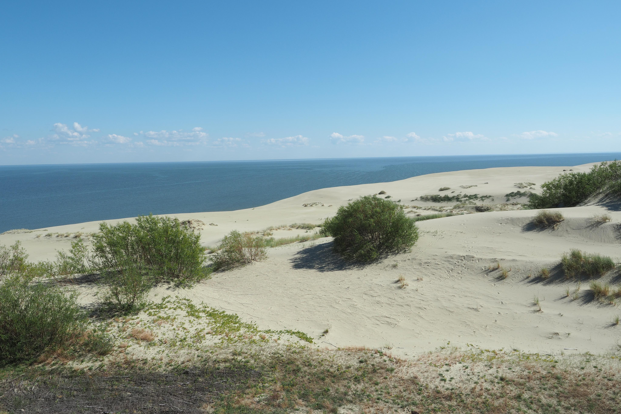 Куршская коса. Экскурсии по Калининграду