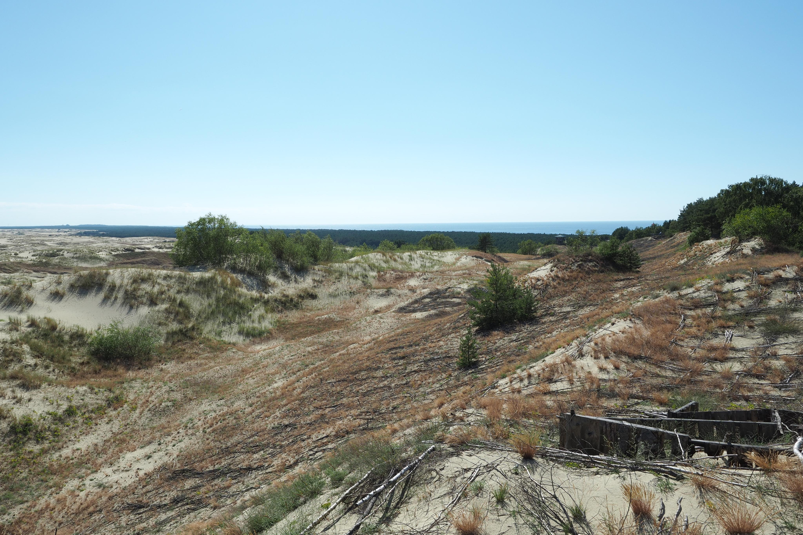 Куршская коса. Экскурсии по Калининграду