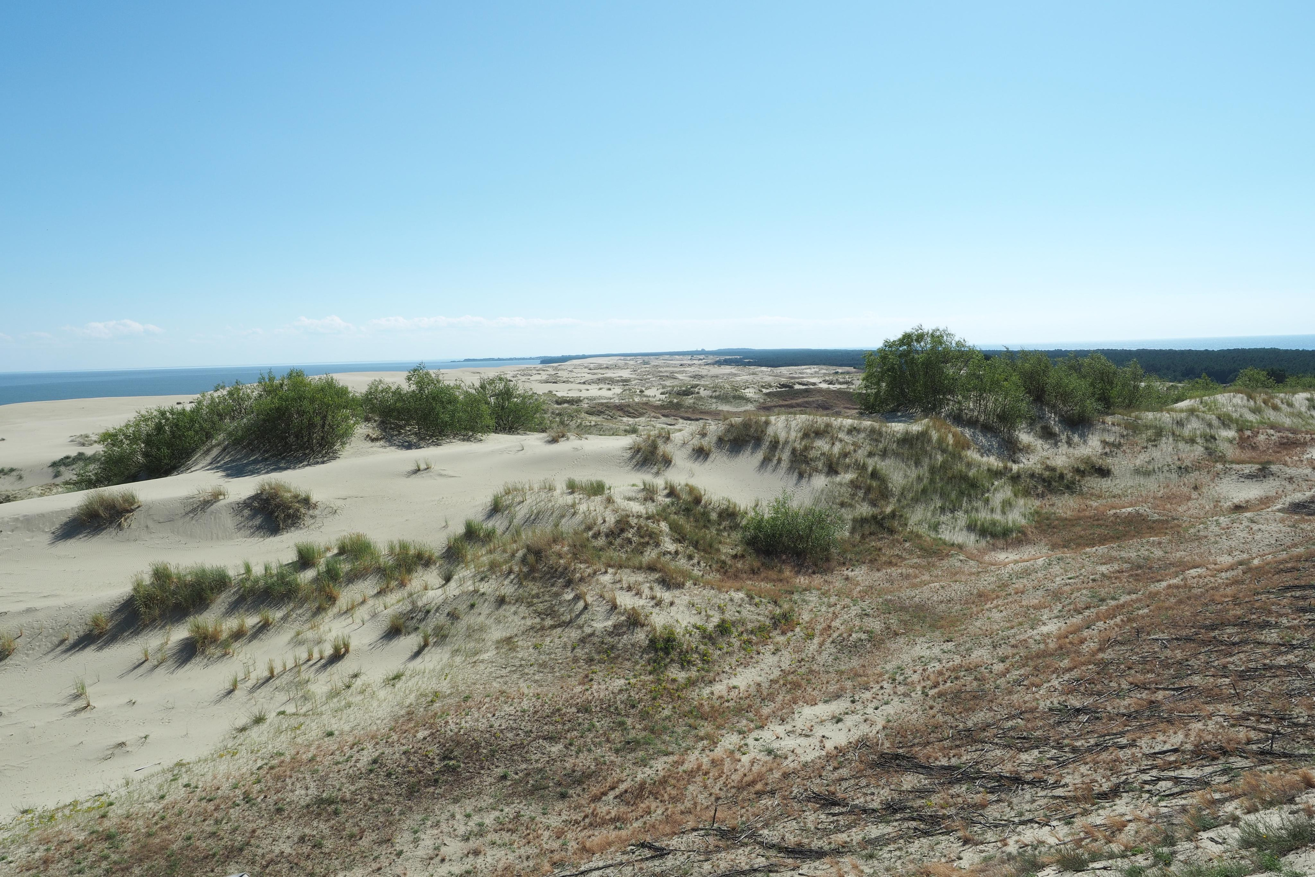 Куршская коса. Экскурсии по Калининграду