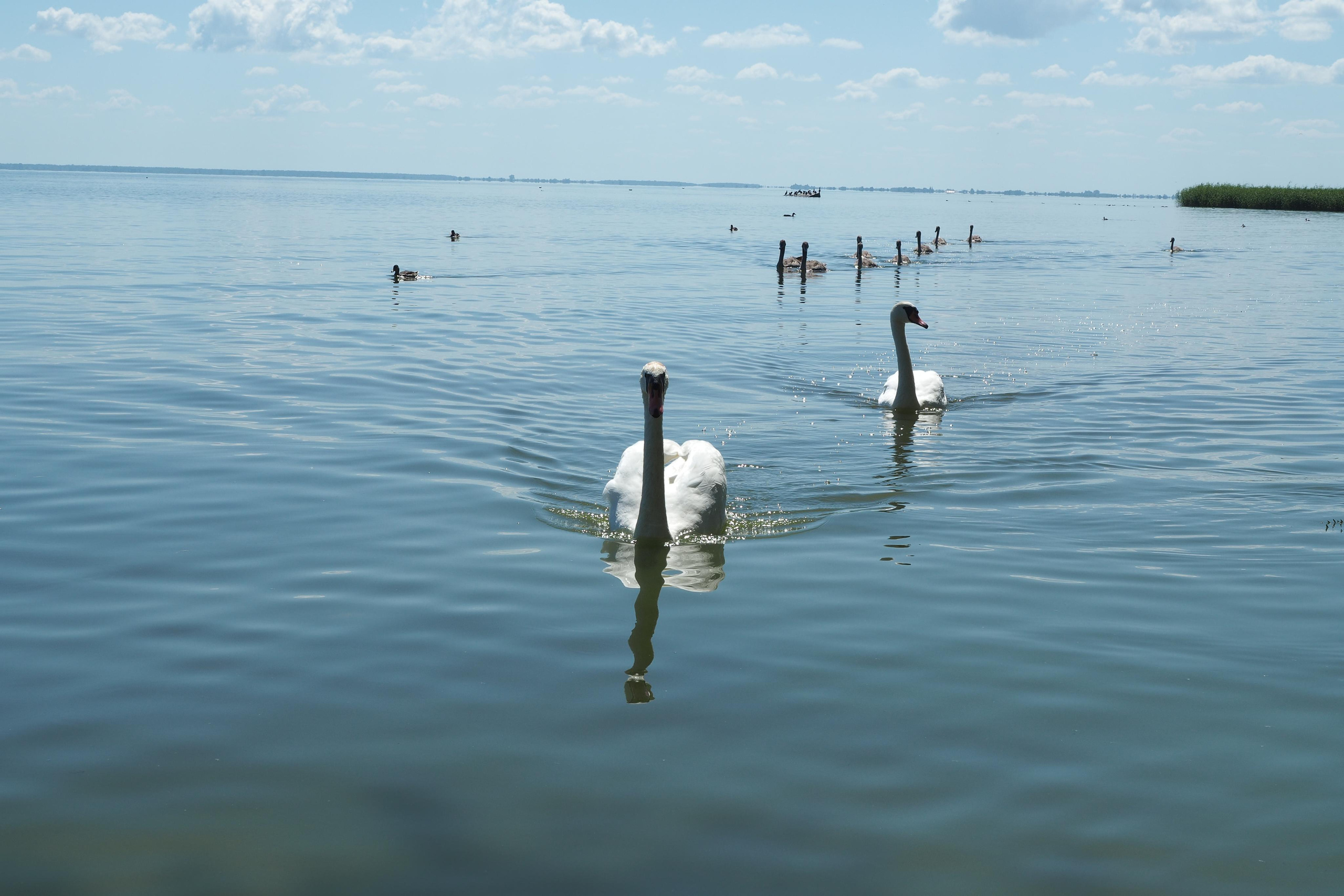 Куршская коса. Экскурсии по Калининграду